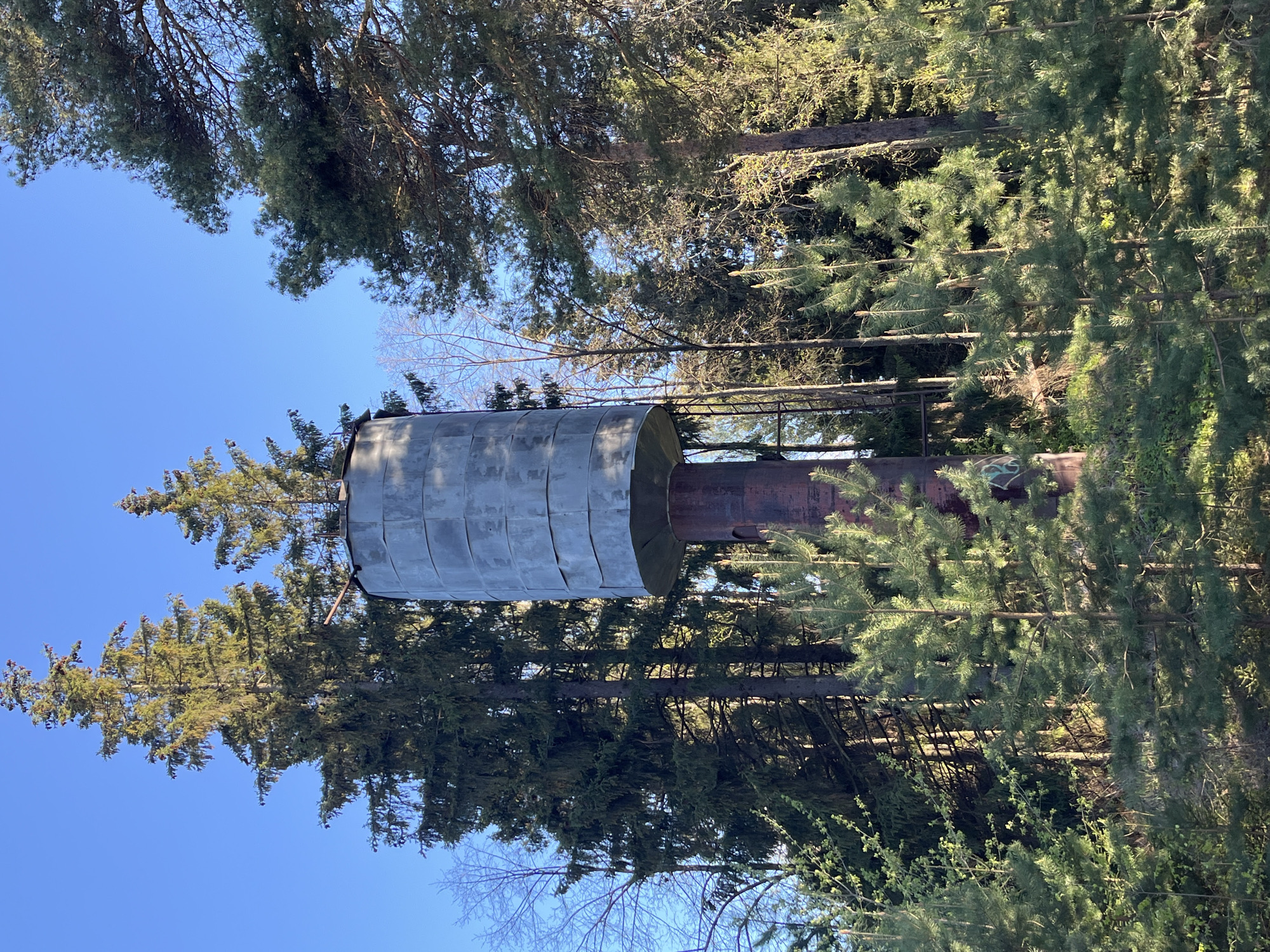 The image depicts a water tower located in a forest near the city of Chaikovsky, Russia. The tower consists of a cylindrical metal tank supported by a narrower, reddish-brown metal column. The metal of the cylindrical tank has vertical lines. The water tower is partially obscured by evergreen trees on all sides. The sky is visible through the trees and above the tower, appearing clear and blue.