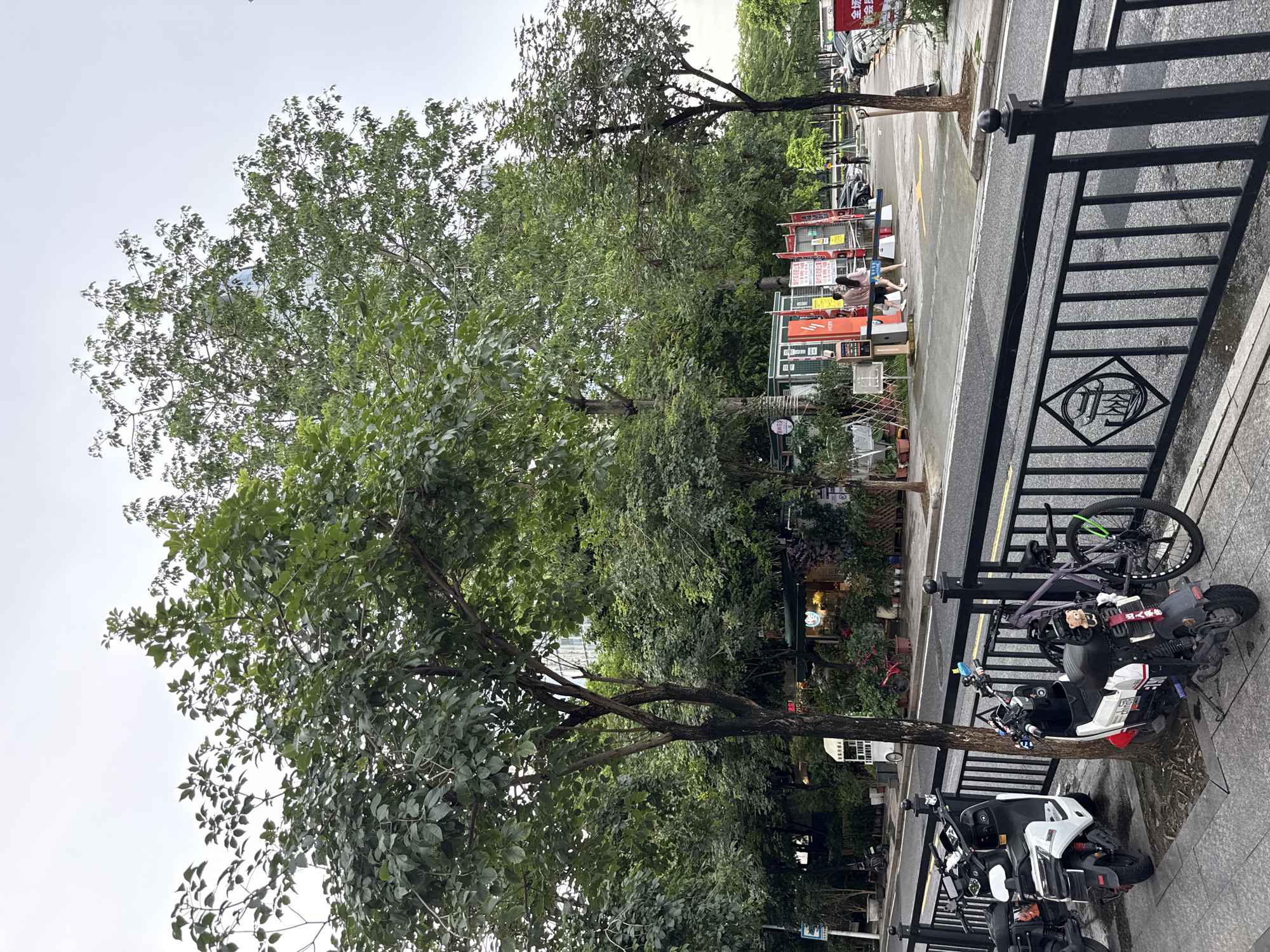 The image depicts a street scene in Haizhu District, China, on an overcast day. In the foreground, a black metal fence with a decorative diamond-shaped insert separates a sidewalk from a street. The sidewalk is lined with parked electric scooters and a bicycle. A white and black electric scooter is parked to the left, followed by a white, black, and red electric scooter, and then a purple bicycle. A tree trunk grows through the sidewalk near the scooters.
Beyond the sidewalk and fence, the street has several lanes and parked cars further down. On the other side of the street, there is a row of buildings with awnings and signs, suggesting commercial establishments such as shops or cafes. Several trees with lush green foliage are prominent throughout the scene, providing shade and a natural element. In the middle ground, a few people are walking near some brightly colored booths or kiosks. The sky is a pale, cloudy gray, and the overall lighting suggests it is either early morning or late afternoon.
