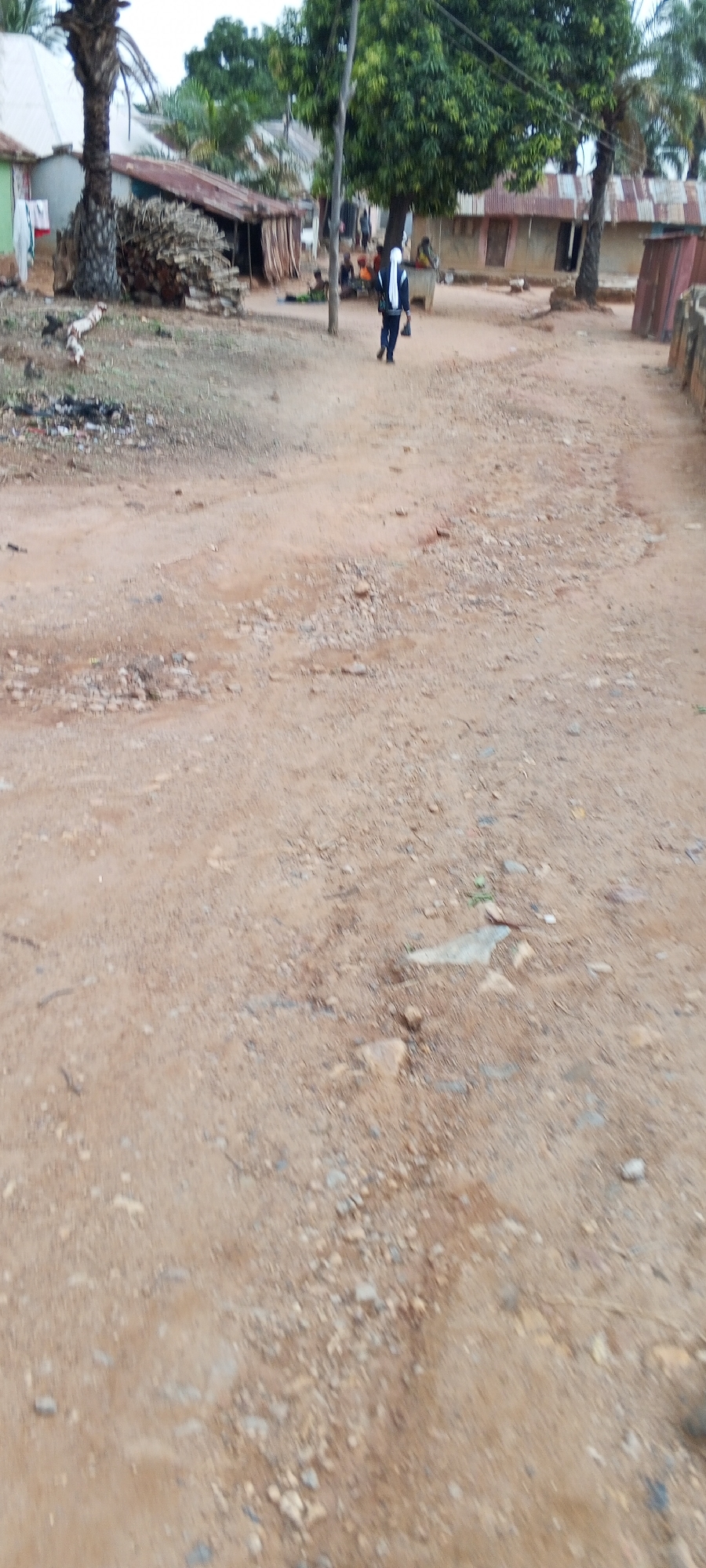 The image depicts a dirt road in Keffi, Nigeria. Along the road are several structures: simple houses with corrugated metal roofs, some wood piles, a palm tree, and other trees. In the middle distance, a person wearing a white head covering and dark clothing walks away from the camera along the road. Other people are visible near one of the houses. The foreground is a close-up view of the dirt road itself, which consists of brown soil and small rocks.