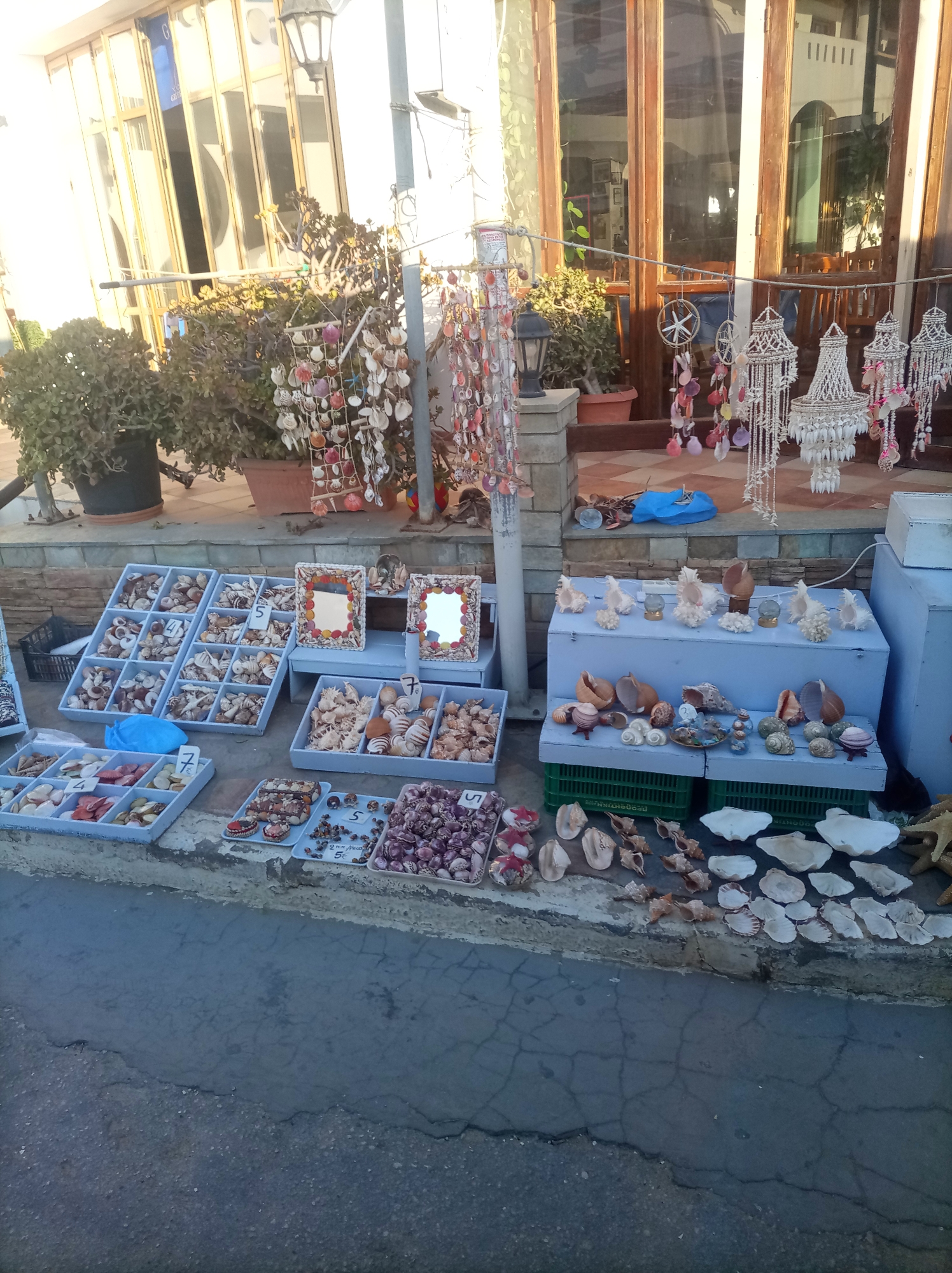 A daytime outdoor scene, possibly a market stall, displays a variety of seashells and shell-crafted items for sale. The foreground shows several shallow, open containers filled with different types of shells. Some shells are loose, while others are arranged in decorative patterns. There are also framed mirrors decorated with shells and some hanging shell decorations. In the background, a building with large glass doors and windows is visible, and potted plants line the facade. The ground appears to be paved with concrete or asphalt. The lighting suggests it is either early morning or late afternoon, with sunlight casting long shadows. There are no people visible in the image.