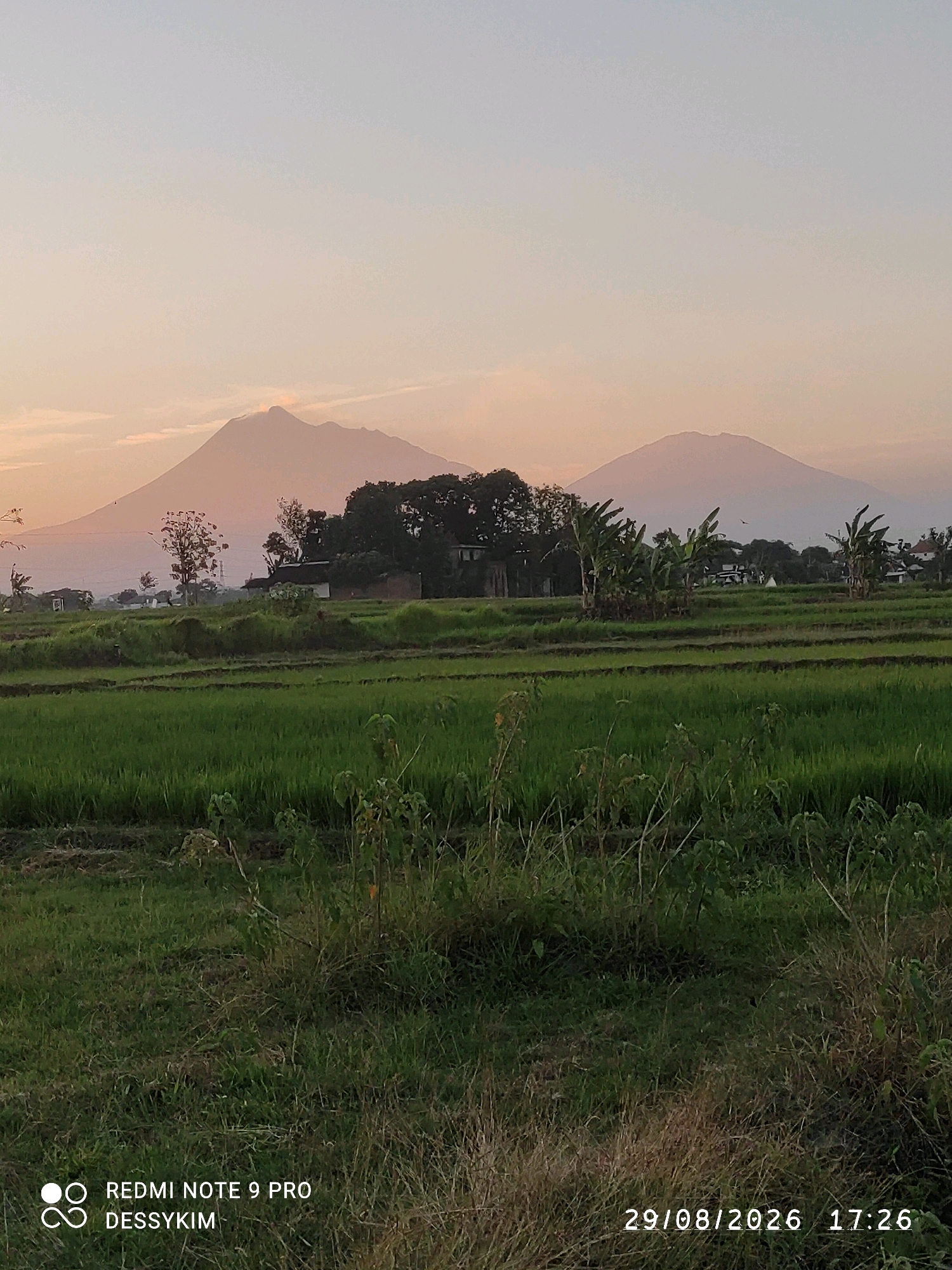 The image captures a serene landscape at sunset, likely in Jebugan, Indonesia, as indicated by the visible watermark "DESSYKYM" and the date stamp "29/08/2026 17:26." The foreground features a lush, green rice field, with distinct terraced layers indicating cultivation. The midground is a mix of vegetation, including trees and banana plants, interspersed with a few small buildings, possibly rural dwellings or farm structures. In the background, two majestic mountains rise against a soft, hazy sky painted with the warm hues of sunset – oranges, pinks, and pale yellows. The atmosphere is peaceful and rural. No people are visible in the frame. The overall scene is one of natural beauty and tranquility.