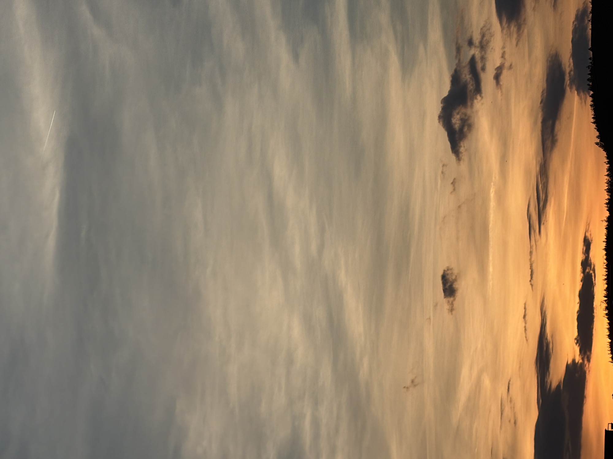 The image displays a sky scene at either sunrise or sunset, viewed with the horizon at the bottom. The upper portion of the sky is a soft, muted blue-grey, streaked with delicate, wispy clouds. A distinct, thin white contrail from an aircraft cuts across the upper-left quadrant of this lighter sky.
As the eye moves downwards, the sky transitions into a rich tapestry of warm colors, including vibrant oranges, yellows, and amber, indicating the presence of the sun near the horizon. Against this luminous backdrop, several darker, more defined clouds are scattered, appearing as silhouettes. A few tiny, dark specks, likely birds, are visible against the lighter parts of the warm sky.
Along the very bottom edge of the image, a dark, silhouetted treeline or forest forms the horizon. To the far right, a faint silhouette of a building or structure is discernible against the brightly colored sky. The scene captures the serene beauty of a transitional period of day. There is no visible text.
