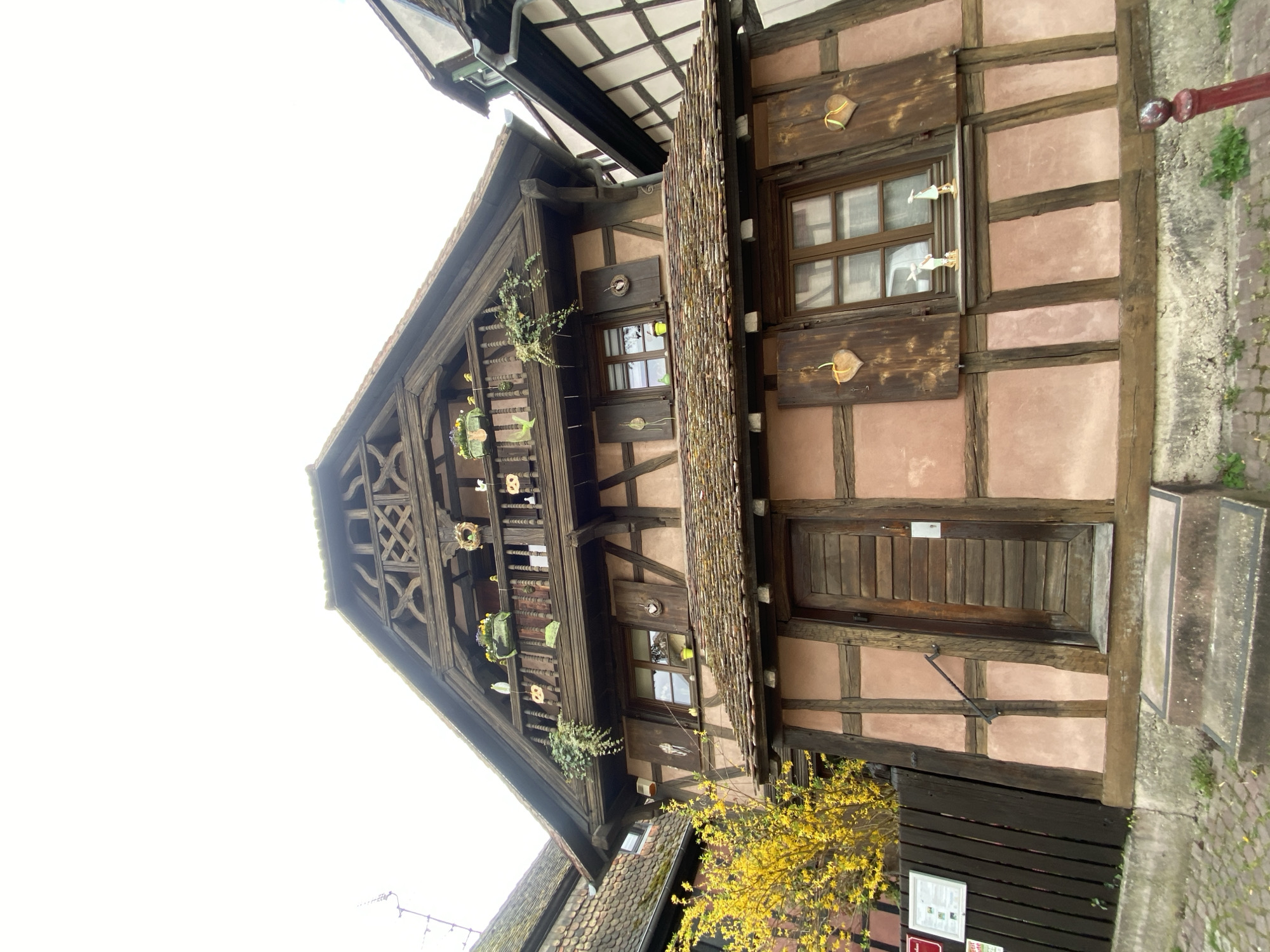 The image shows a vertical view of a traditional half-timbered house in Schiltigheim, France. The building features a steeply pitched roof and exposed wooden beams filled with pinkish-tan stucco. The facade includes windows, doors, and decorative elements like plants hanging from the balcony. A yellow flowering bush is visible near the base of the building. The overall architectural style is characteristic of the Alsace region.