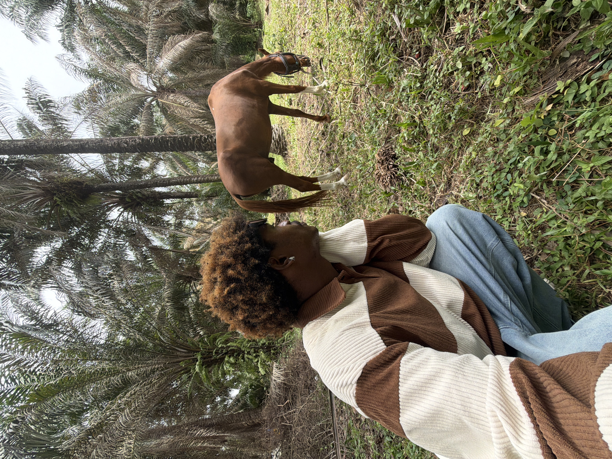 The image displays an outdoor scene in Lekki, Nigeria, characterized by dense vegetation. In the foreground, a dark-skinned individual with curly brown hair, wearing a horizontally striped brown and off-white corduroy polo shirt and light blue denim jeans, is squatting. The individual's left hand supports their chin, and their gaze is directed towards the right. A small silver-colored earring is visible in the left ear. To the right of the frame, a reddish-brown horse with white markings on its lower legs is observed, wearing a dark bridle and actively grazing on the green ground cover. The ground is uneven, comprising various green grasses, low-lying plants, and scattered organic debris, including what appears to be dried palm fruit clusters. The background features a multitude of tall palm trees, consistent with species found in tropical regions. The sky is overcast, providing diffused lighting to the scene. There is no direct interaction between the individual and the horse; both are present within the same vegetated area.