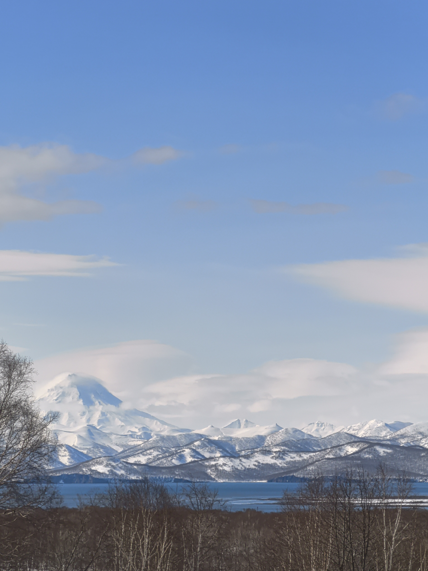 A landscape photograph depicts snow-covered mountains behind a body of water, with bare trees in the foreground under a blue sky with scattered clouds. The location is likely Kamchatka, Russia.