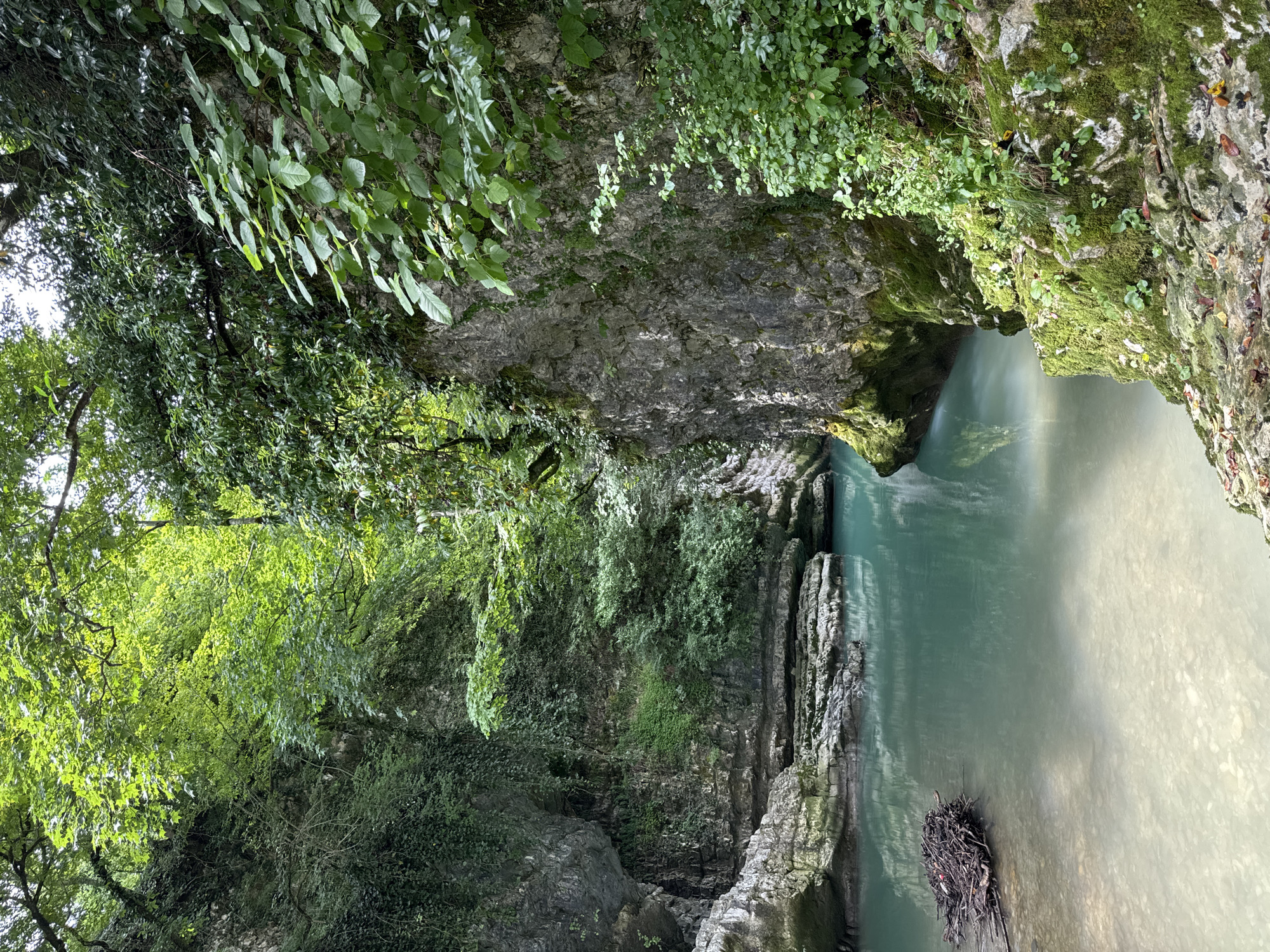 The image shows a narrow canyon with a turquoise river flowing through it. The canyon walls are steep and rocky, covered in lush green vegetation. The river is clear and shallow in places, revealing a rocky riverbed. In the foreground, a pile of branches and debris is visible in the water. The sun filters through the dense canopy of trees overhead, casting dappled light on the water and rocks. This scene is characteristic of the Martvili Canyon in Lebache, Georgia, known for its dramatic natural beauty and vibrant water color.