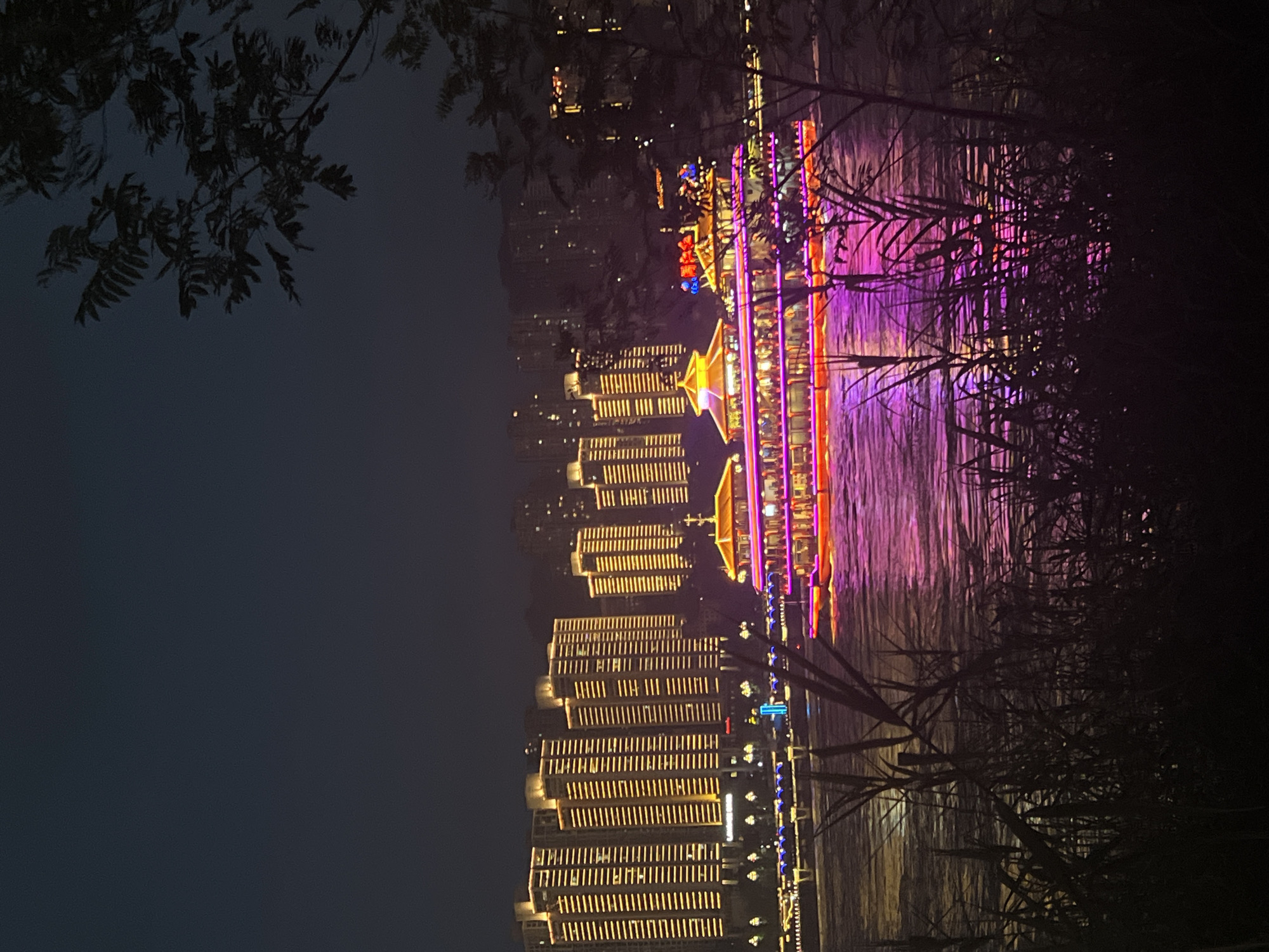 An aerial night shot captures a vibrant cityscape of Yuzhong District, China, with a brightly lit cruise ship illuminating the dark waters. The ship, adorned with pink and orange lights, sails across the river, reflecting its glow on the rippling surface. In the background, towering buildings stand in silhouette against the night sky, their windows aglow with warm yellow light, creating a stark contrast with the darkness. The foreground is shrouded in shadow, with the silhouettes of trees and plants obscuring a portion of the view, adding a touch of mystery to the scene. The overall impression is one of a lively and illuminated city at night, with the cruise ship serving as a focal point.