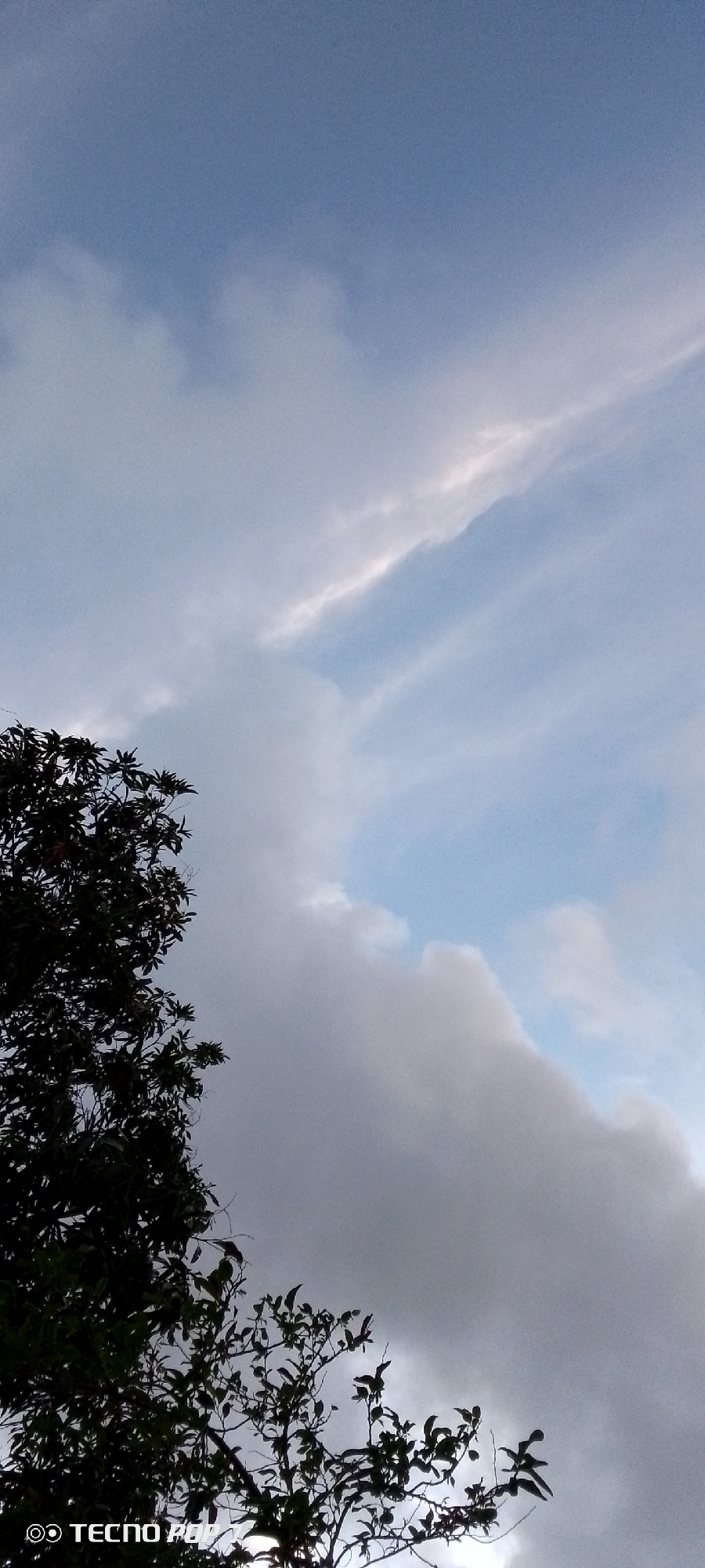 The image is a vertical, low-angle shot looking up at a cloudy sky and silhouetted tree branches. The sky is a mix of light blue and gray clouds, with some streaks of white appearing to be thin cirrus clouds. The clouds are dense and appear to be gathering, suggesting possibly changing weather. The tree branches in the foreground are dark and leafy, obscuring a portion of the sky. The bottom left corner of the image contains a watermark with the text "TECNO POP" and a circular logo. The lighting suggests it is daytime, possibly late afternoon or early morning, given the soft light and mixed cloud cover. There are no people visible in the image. The scene is a natural outdoor setting, likely a park or garden.