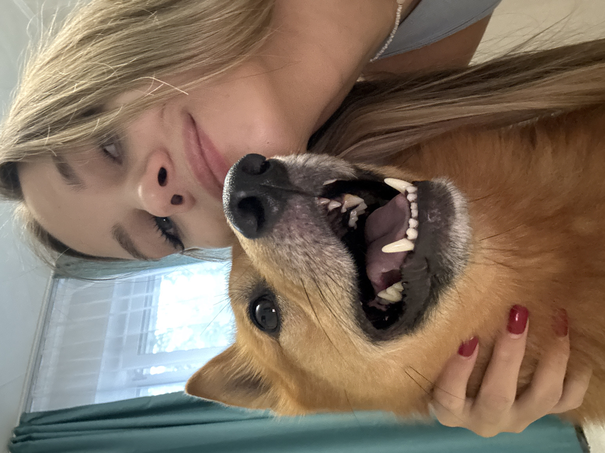 This media file shows a close-up, low-angle selfie featuring a young woman and a dog. The woman has blonde hair and is looking down towards the camera with a slight smile. She is wearing a light blue top, possibly a tank top, with a beaded necklace. The dog, which appears to be medium-sized and has reddish-brown fur, is in the foreground and is looking up at the woman and the camera, with its mouth open to reveal its teeth and tongue. The woman's hand, with dark red nail polish, is visible holding the dog.
The background suggests an indoor setting, possibly a home. A window with blinds and curtains is visible, and the lighting indicates it is daytime, with natural light streaming in. The overall mood appears playful and affectionate between the woman and her dog. There is no visible text in the image. The location context is Chaikovsky, Russia.
