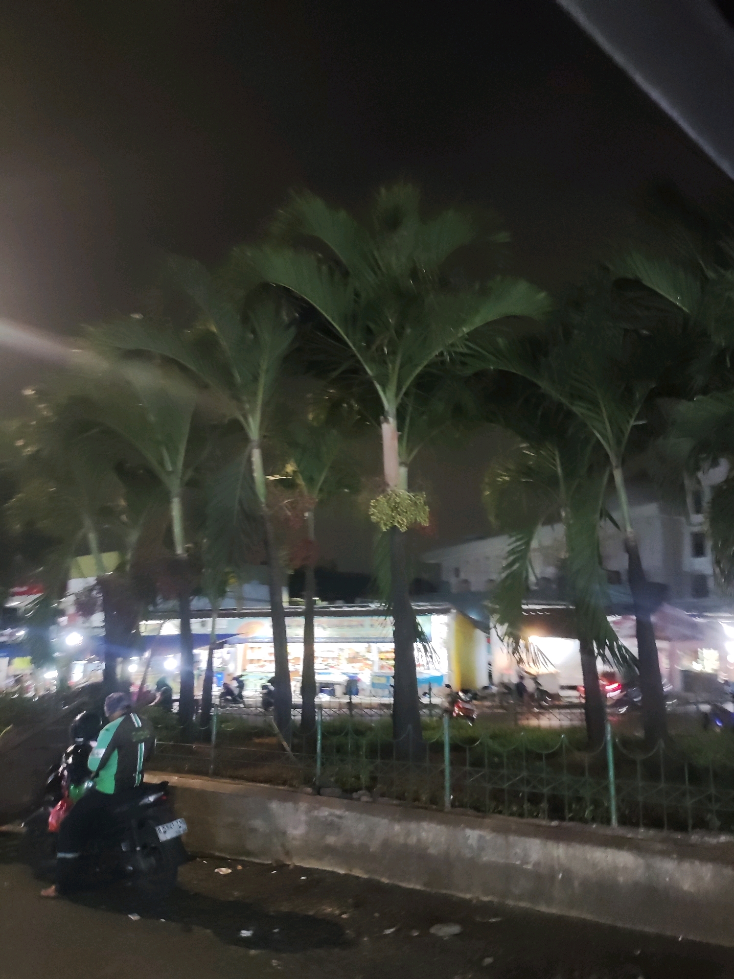 The image shows a street scene at night in East Jakarta, Indonesia, with palm trees lining the roadside. In the foreground, a person is seated on a motorcycle, wearing a green and black jacket. Behind the motorcycle, a row of palm trees are illuminated by streetlights, with some shops and buildings visible in the background. The street is wet, suggesting recent rain. The overall atmosphere is dimly lit and somewhat blurry due to the night conditions and possibly motion.