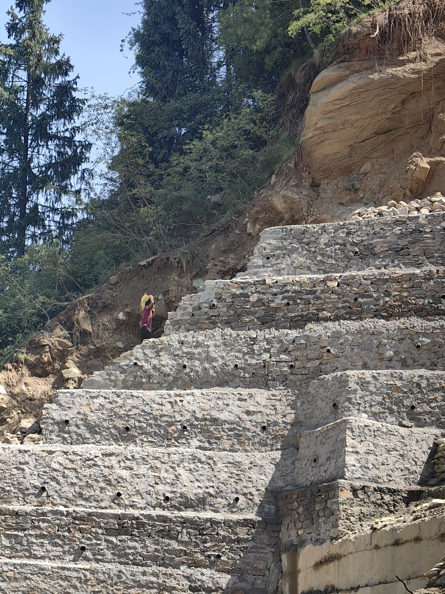 The image shows a steep, terraced hillside with a person carrying a yellow object on their head. The terraces are constructed from stone and mortar, with visible drainage pipes. The hillside is covered with trees and vegetation, and the ground is rocky and uneven. The sky is clear and blue. The scene appears to be located in a mountainous region, likely in Vashisht, India, given the context of the prompt. The person, dressed in a red shirt and dark pants, is positioned on one of the higher terraces, walking towards the left side of the frame. The construction suggests a method of slope stabilization or a tiered garden.