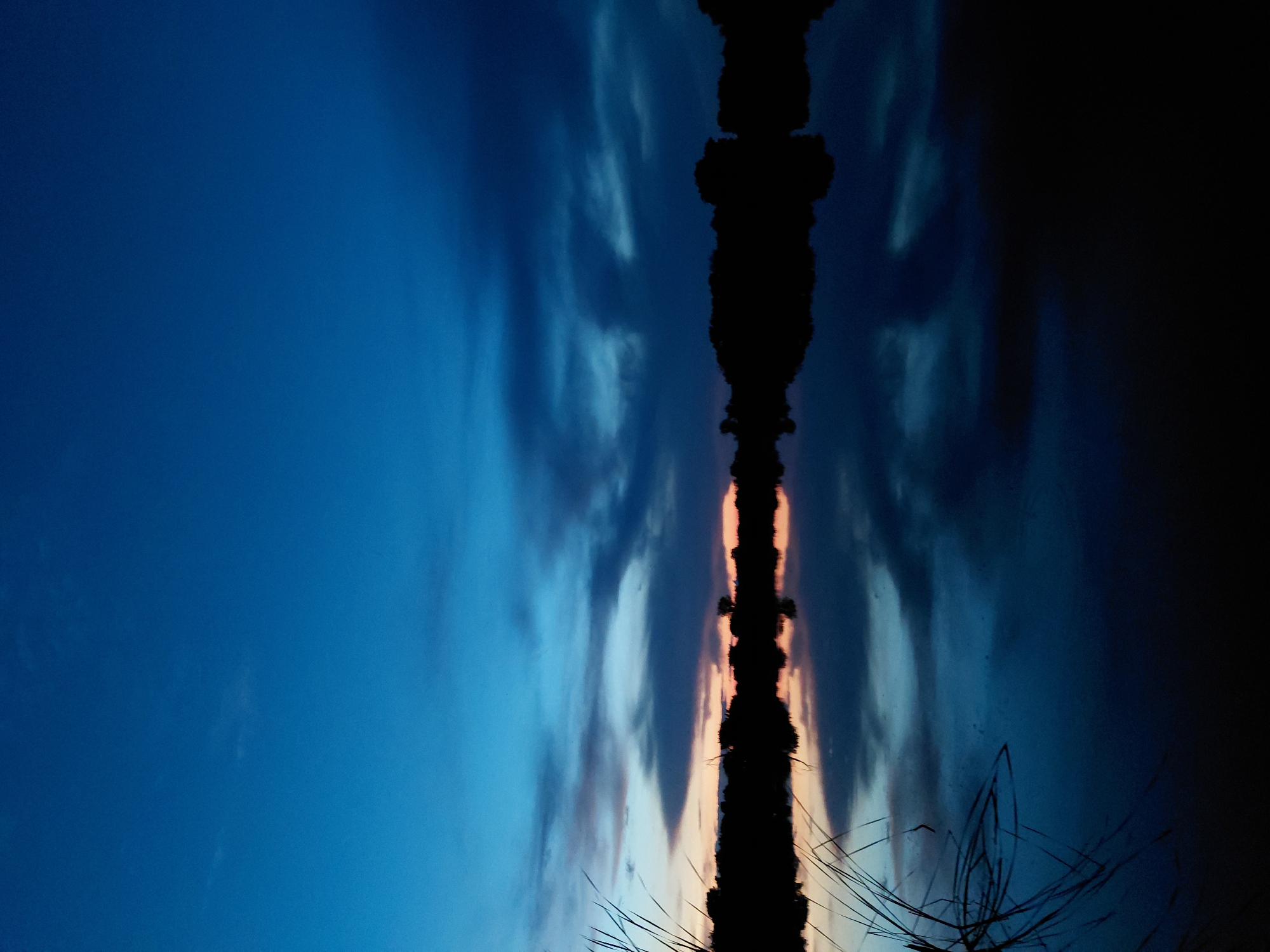 The image depicts a serene twilight scene by a body of water, likely a river or lake, in or near Ustyvytsia, Ukraine. The sky transitions from a deep, clear blue at the top to darker shades of blue and grey as it nears the horizon, where subtle hints of orange and pink suggest the lingering light of sunset. Scattered, wispy clouds are visible, adding texture to the sky.
Silhouetted against the fading light is a dense line of trees and vegetation that forms the far bank of the water. The water itself is calm and reflective, mirroring the sky and the dark shoreline with remarkable clarity, creating an almost symmetrical composition. In the foreground, the dark, slender stalks of grass or reeds rise from the water's edge, adding a delicate touch to the scene and partially obscuring the reflection. The overall impression is one of tranquility and natural beauty at the close of day.
