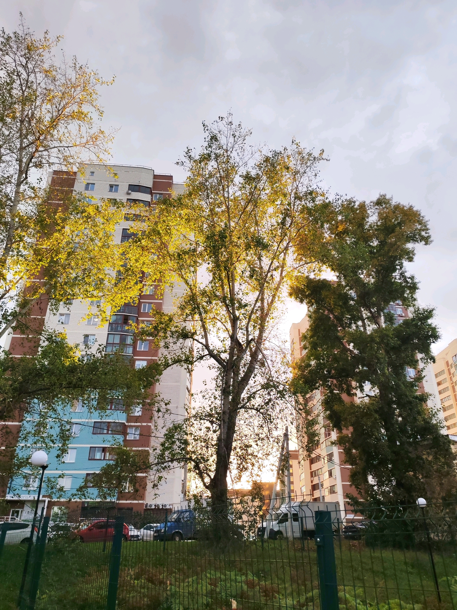 In Izhevsk, Russia, an outdoor, eye-level shot captures a view of a multi-story apartment building with a patterned facade of white brick, brown brick, and light blue sections. Tall trees, some with yellowing leaves indicating autumn, are positioned in the foreground, partially obscuring the building. The sky above is overcast with a gradient of grays, with the sun faintly visible behind the trees, casting a warm glow. A dark green metal fence runs along the bottom of the frame, with grass and some vegetation visible behind it. Parked cars, including a blue van, a red car, and a white van, are visible behind the fence, suggesting a residential area. A lamppost is also visible near the fence.