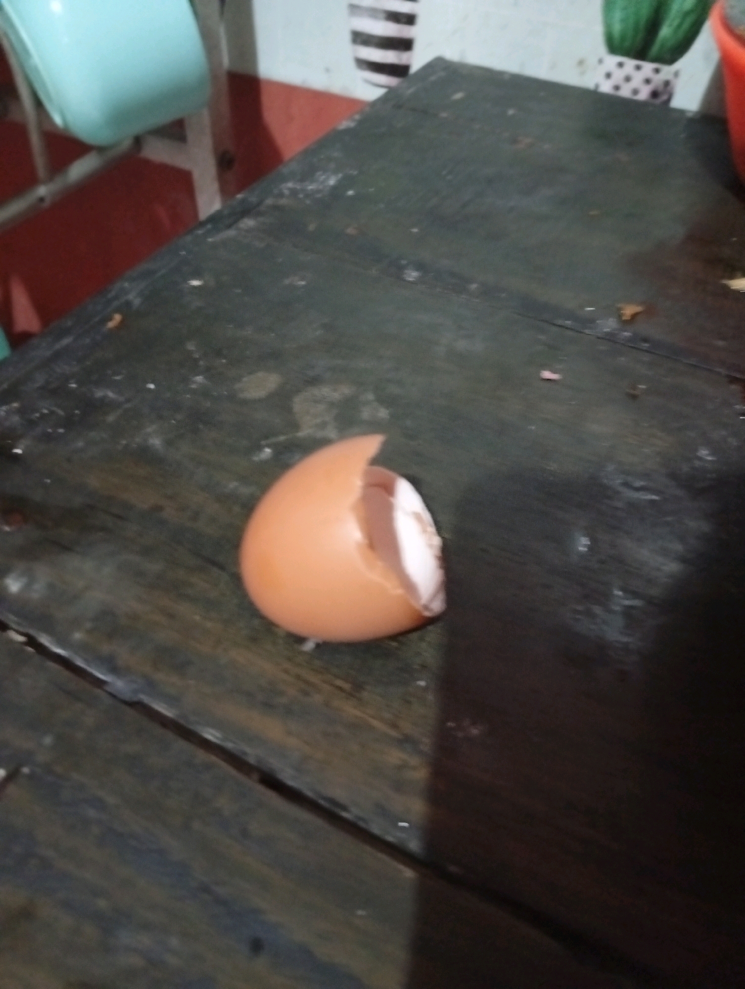 A cracked, empty eggshell sits on a dark wooden table in what appears to be an indoor setting. The shell is a light brown color and is broken open, revealing the inside. The table surface is worn and shows signs of use, with some dust and debris visible. In the background, a light blue chair is partially visible, along with a wall with red and white striped wallpaper. There are also hints of a potted plant with green leaves and a red container. The lighting is dim, casting shadows across the table. The scene does not provide any specific information to indicate it is located in the city of Tasikmalaya, Indonesia.
