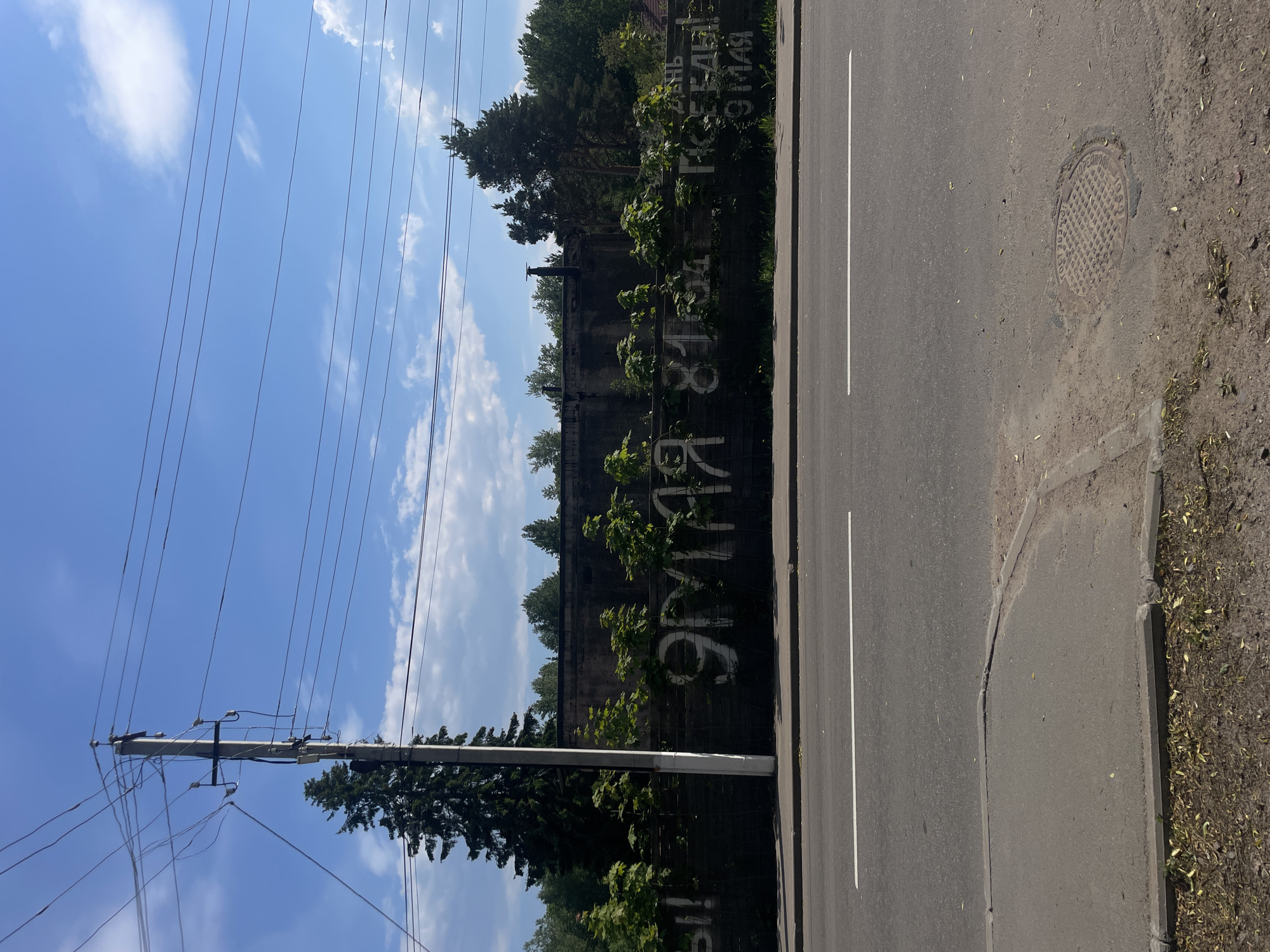 This image depicts an outdoor urban street scene in Priozersk, Russia, under a bright blue sky with scattered white cumulus clouds. No people, discernible actions, or interactions are present.
In the foreground, a grey asphalt road runs horizontally, marked by a single solid white line. To the right of the road, a concrete curb delineates a paved sidewalk, which transitions into a dirt patch with sparse green and dry vegetation. A circular metal manhole cover with a textured surface and faint Cyrillic text is embedded in this dirt area on the far right.
The mid-ground is dominated by a long, dark grey concrete or stone wall. Several small, green-leafed saplings or bushes grow directly in front of the wall, partially obscuring its lower half. White spray-painted Cyrillic graffiti is visible on the wall, reading "9 МАЯ 81" (9 May 81) in the center-left and "ДЕНЬ ПОБЕДЫ 9 МАЯ" (Victory Day 9 May) on the right.
On the left side, a tall, grey concrete utility pole, equipped with multiple insulators and cross-arms, extends vertically from the ground beyond the top of the frame. Numerous electrical wires are strung both horizontally across the upper portion of the image and connected to the pole. Behind the wall and utility pole, a dense line of trees forms the background, comprising tall, dark green conifers and lighter green deciduous trees. Above the wall on the left, faint dark structures resembling pipes or vents are visible against the sky.