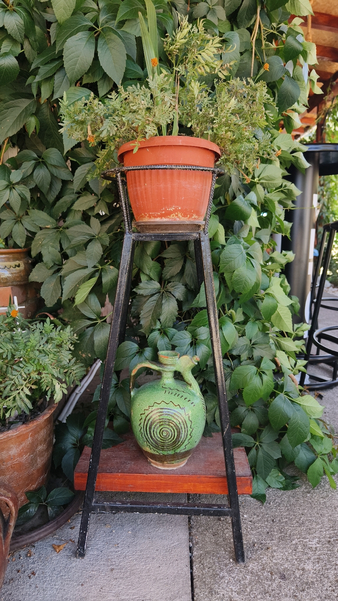 The image shows an outdoor scene with dense green foliage as the background. In the foreground, a terracotta pot containing a small plant with orange flowers sits on a black metal stand. Below the pot, a decorative green ceramic jug with a spiral pattern is placed on a wooden shelf. To the left, another terracotta pot with a green plant is partially visible. The ground is paved with concrete. The scene appears to be in a garden or yard, possibly in Предејане (варош), Serbia, given the context. There are no people or animals in the image. The lighting suggests it is daytime.