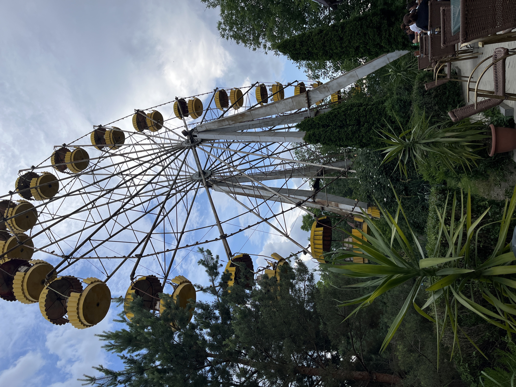 An outdoor scene depicts a towering, vintage Ferris wheel with yellow cabins against a cloudy sky. The Ferris wheel is comprised of a metal frame supporting multiple gondolas, each with a scalloped yellow roof and open seating. Several cabins are visible, some empty, others appearing to have people inside. The Ferris wheel is situated in an area with lush greenery, including tall trees and manicured bushes. In the foreground, a large potted yucca plant with long, spiky leaves is prominent. To the right, an outdoor seating area with wicker chairs and tables is set up, with a few people visible in the background. The lighting suggests it is daytime, possibly overcast. The overall impression is that of an abandoned or aging amusement park attraction within a garden or park setting, with a functioning cafe area.
