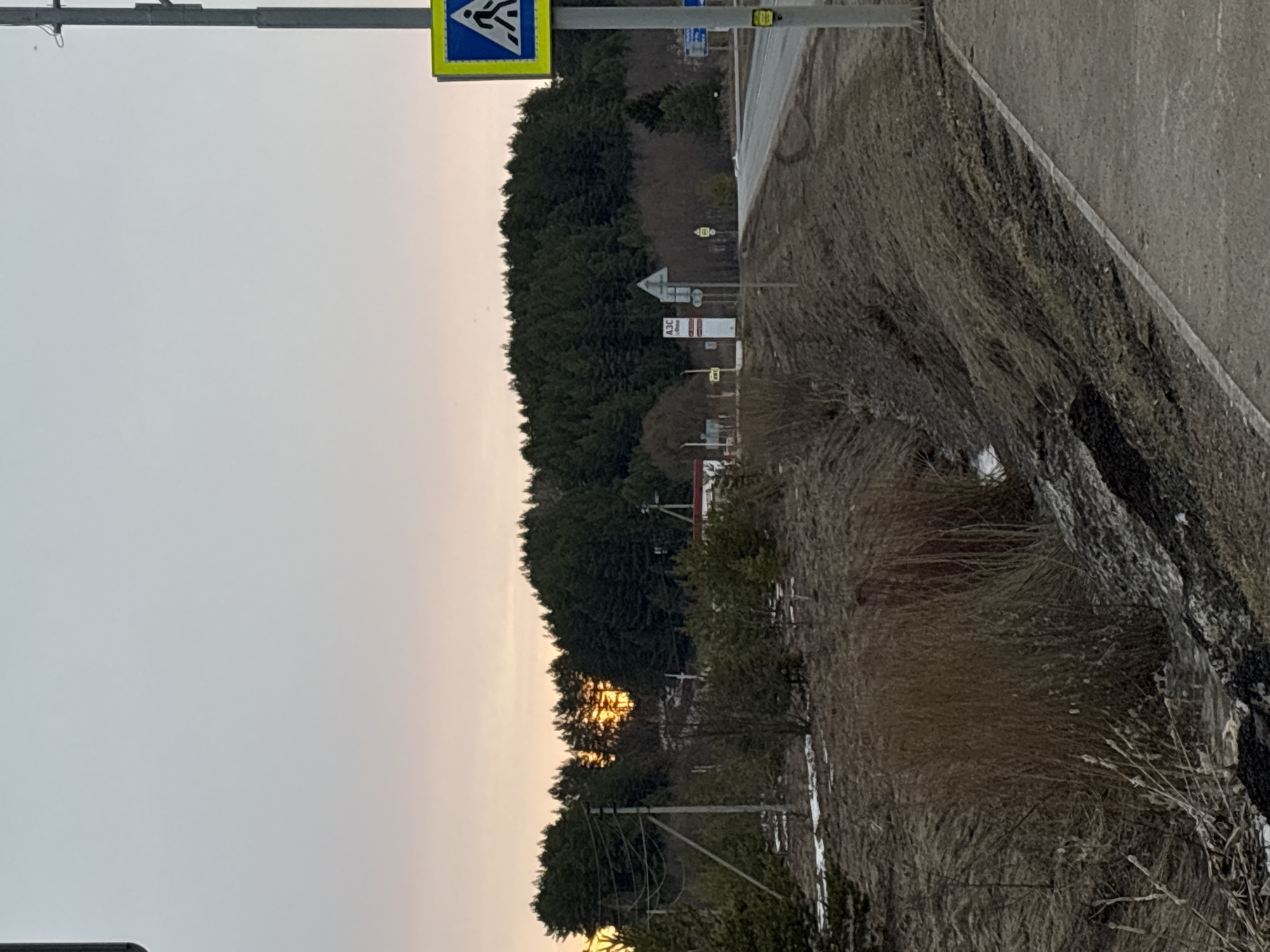 The image shows a roadside scene near the city of Rusalevka, Russia. The photo is taken from a position on or near a paved road with a grassy verge. A pedestrian crossing sign is visible on a metal post. Beyond the verge is a line of trees and vegetation. In the background, there is a sign with "АЗС Center" and other road signs. The sky is overcast with a hint of sunset near the horizon. The foreground vegetation is dormant, indicating either late autumn or early spring conditions. There are no people visible in the image. Remnants of snow are noticeable in the verge.