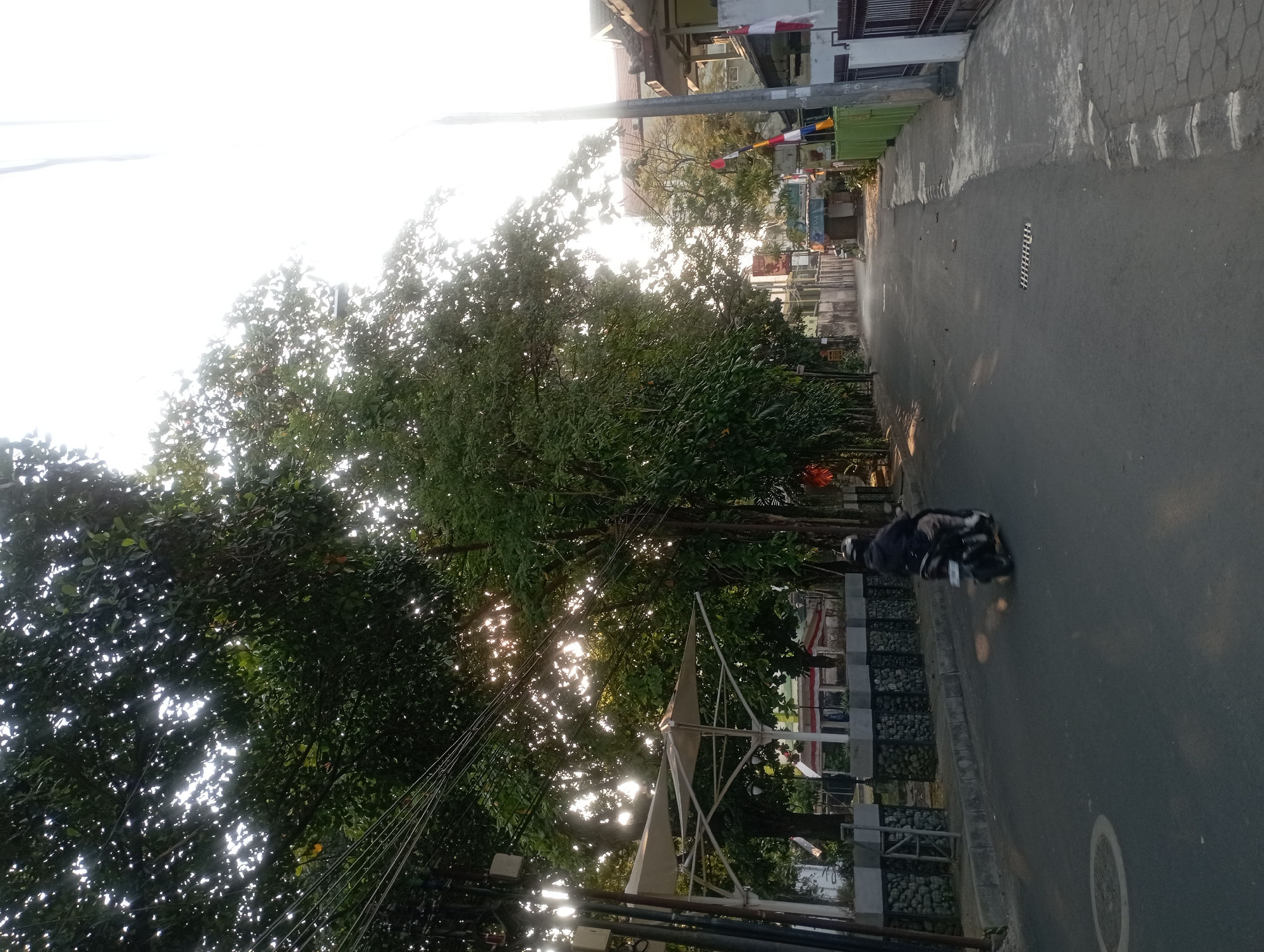 The image depicts a street scene in Yogyakarta, Indonesia, bathed in the warm glow of early morning or late afternoon sunlight filtering through the leaves of lush green trees. A person is riding a motorcycle down the asphalt road, their figure silhouetted against the bright sky. The road is flanked by buildings and a decorative stone wall. The atmosphere is calm and serene, suggesting a quiet neighborhood within the city.