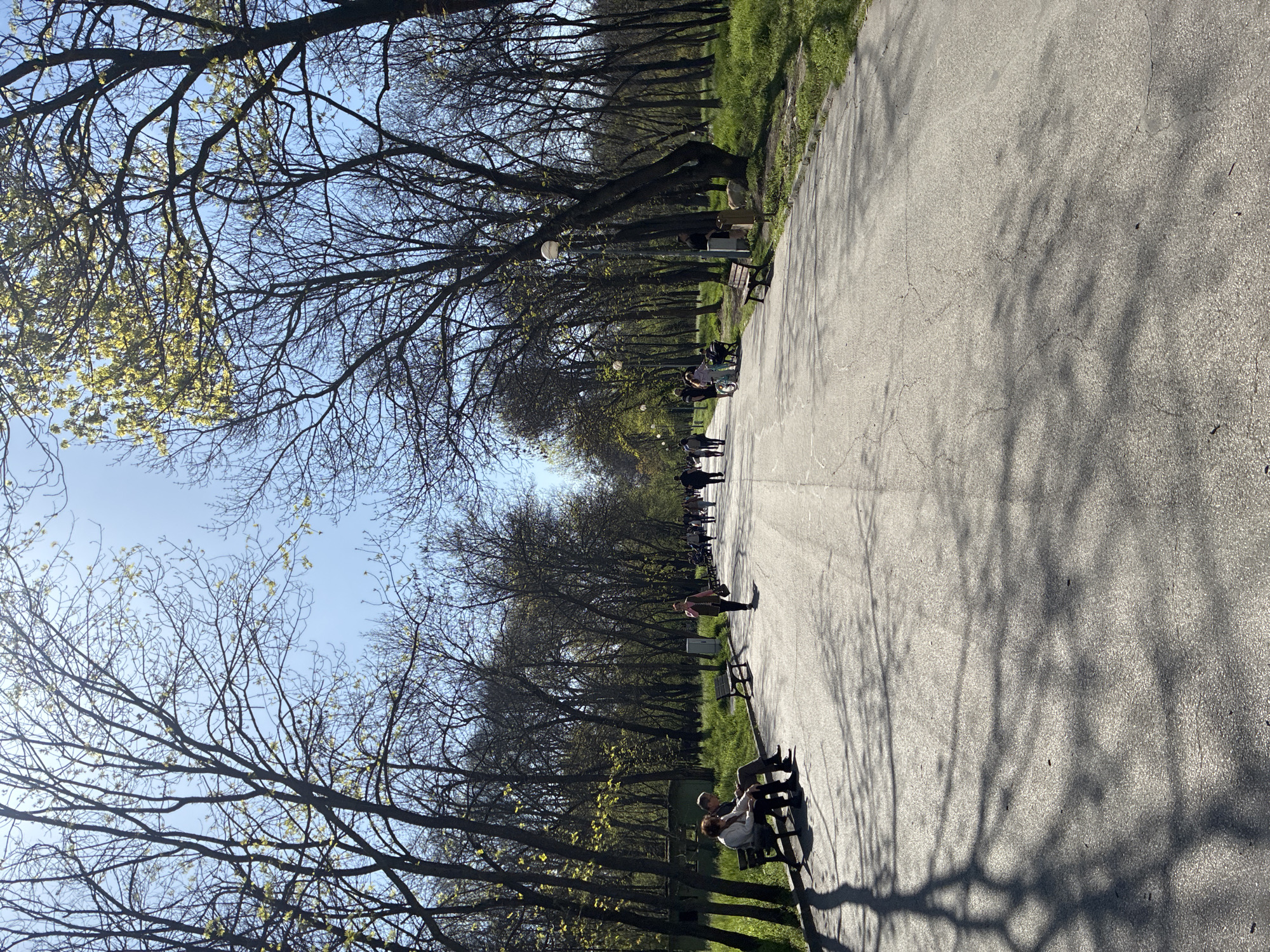 The image depicts a park pathway lined with trees, most of which are bare, though some show early signs of spring foliage. People are scattered along the path, some walking, others sitting on benches. The pathway is paved and shows some cracking. The sky is visible through the branches, appearing bright blue. The location is likely in Plovdiv, Bulgaria, as this is implied. Details like benches, lampposts, and the presence of pedestrians suggest a public park setting. Shadows of trees and people are cast on the pathway.