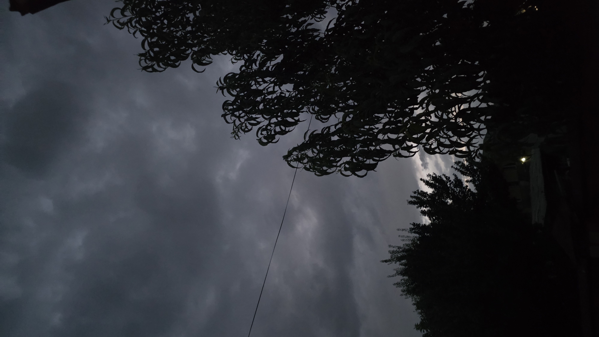 This is a low-light, vertical, eye-level shot of a dark, cloudy sky and silhouetted trees in the city of Chuy, Kyrgyzstan. A thin, black wire runs horizontally across the middle of the frame. The foreground is entirely black, obscuring any details on the ground. In the mid-ground, to the left, are the dark silhouettes of trees, and to the right, a large tree with visible leaves is silhouetted against the sky. The sky itself is filled with heavy, dark grey clouds, with some lighter patches suggesting diffused light. No people or discernable objects are visible in the scene, only the natural elements of trees and sky. The overall mood is somber and overcast.