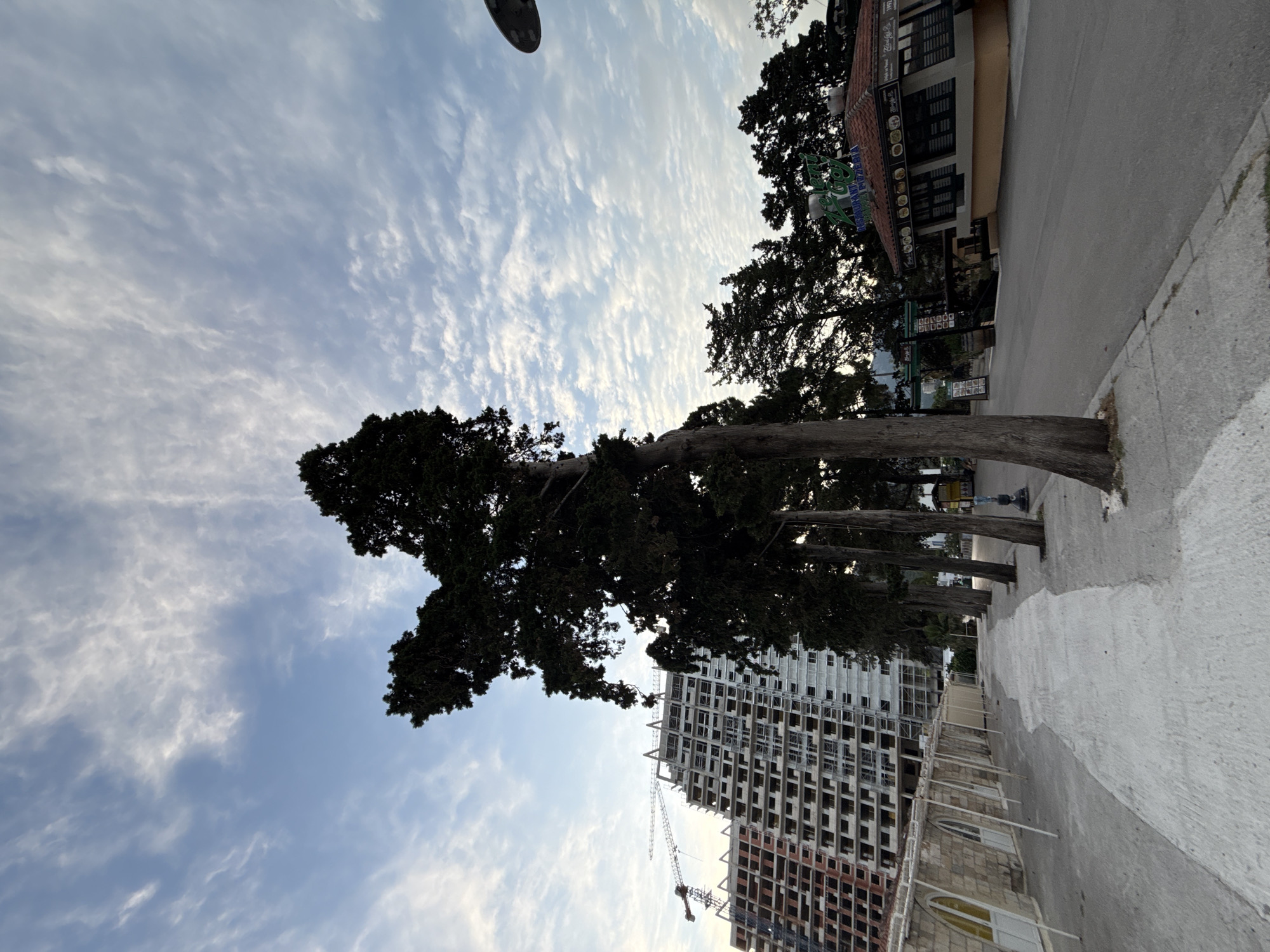 The image depicts a street scene in Budva, Montenegro, with a large unfinished building under construction on the left and a restaurant on the right. The unfinished building is a multi-story structure with visible scaffolding and an industrial crane. In the foreground, a row of cypress trees stands along a paved walkway. The sky is partly cloudy with a light blue hue. A street runs in front of the restaurant, which has a red-tiled roof and outdoor seating visible. The overall impression is one of urban development juxtaposed with natural elements.