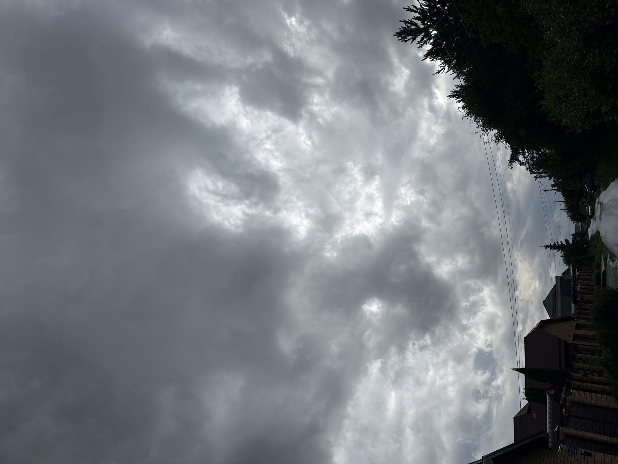 This is a vertical, wide-angle photograph taken in Kazan, Russia. The scene is dominated by a heavily clouded sky, with thick, dark gray clouds filling most of the frame. Patches of lighter gray and white clouds suggest the presence of sunlight attempting to break through, creating a dramatic, almost stormy, atmosphere. A few tall, dark green trees or foliage are visible along the right edge of the frame, silhouetted against the sky. Below the trees, the rooftops of houses are partially visible, some with dark brown or gray shingles and brickwork. Power lines are also strung across the middle section of the image, running horizontally from left to right. The wet appearance of the ground in the lower right corner suggests that it may have recently rained or is about to. There are no people or specific objects clearly identifiable in the image. The overall mood is somber and overcast, possibly indicating a late afternoon or evening on a cloudy day. There is no visible text in the image.