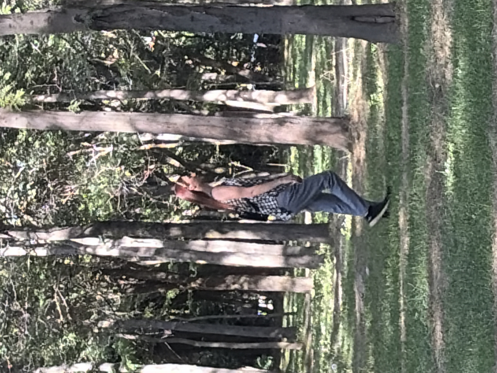 A woman with red hair and sunglasses walks through a park. She is wearing a checkered shirt, grey pants, and black shoes. She has a black backpack on her back. The park is filled with trees and grass. The sun is shining through the trees, creating shadows on the ground. The woman is walking from left to right across the frame.