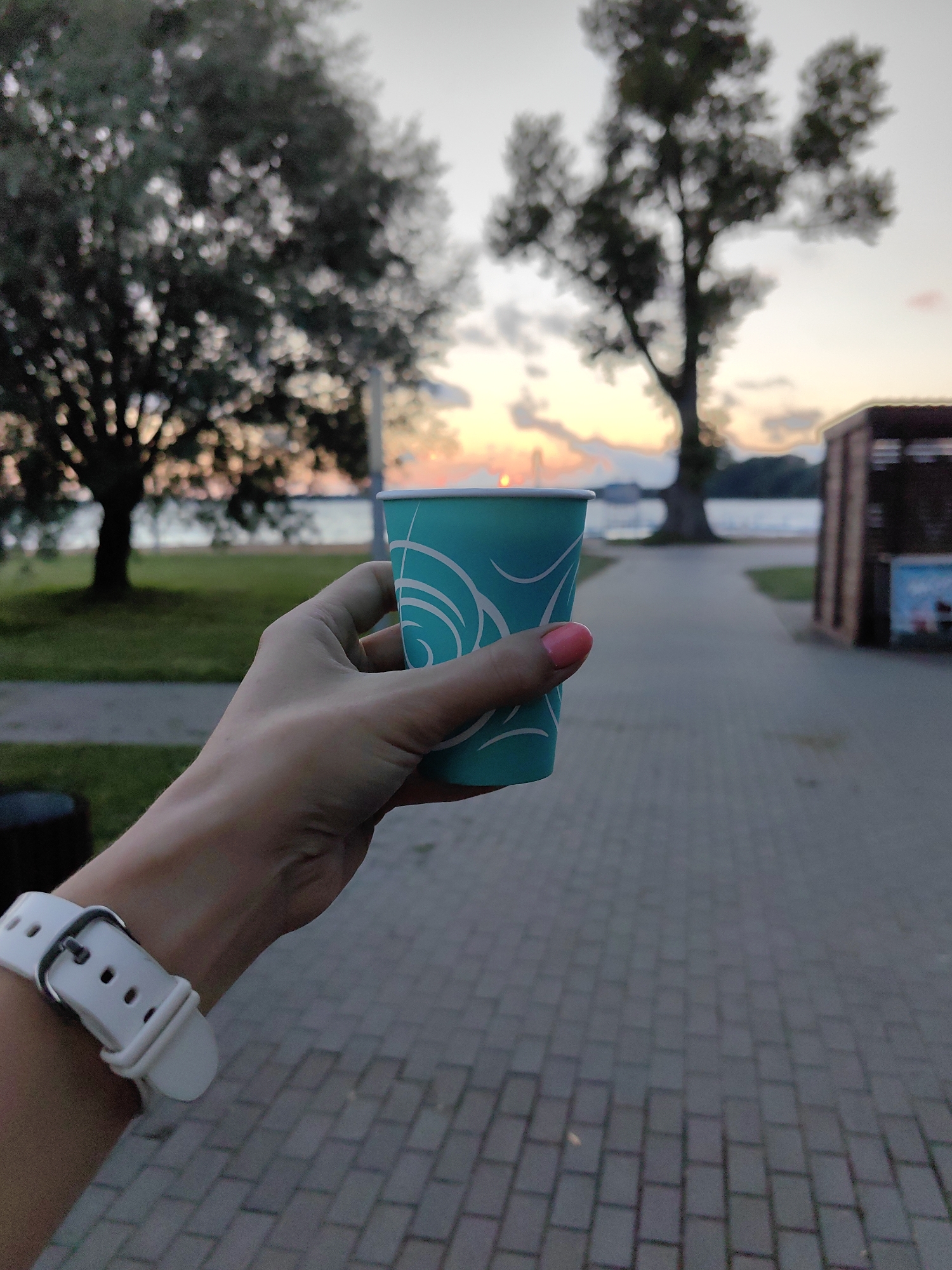 A person's hand, with a pink-nailed thumb and forefinger, holds a teal paper cup with a white swirling design. The hand is adorned with a white watch band. The background shows a paved walkway, green grass, and trees. In the distance, a body of water is visible with a sunset casting orange and pink hues across the sky. A wooden structure is also present to the right of the walkway. The scene is likely set in Myadzyel, Belarus, given the context provided.