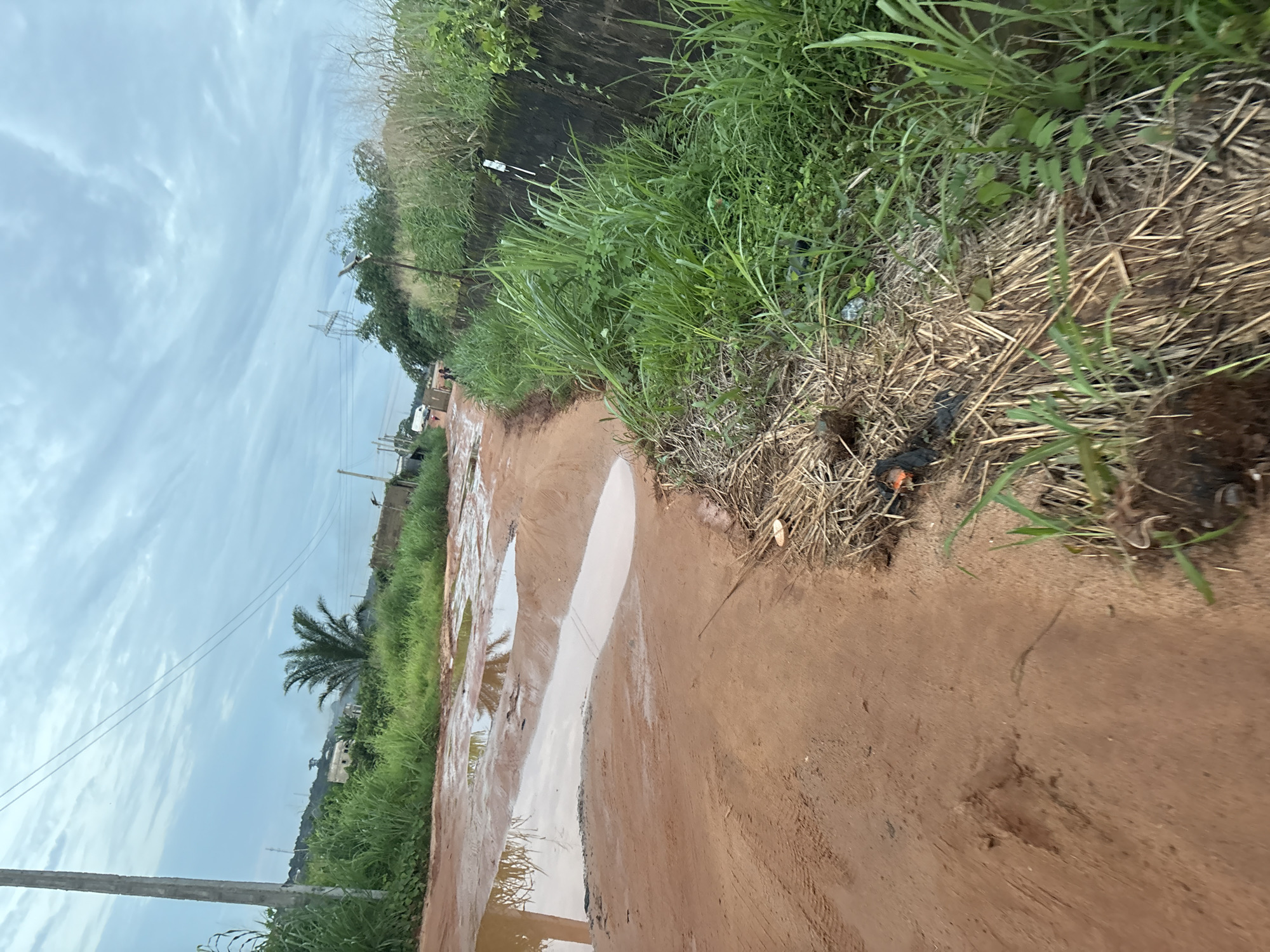 This is an eye-level, full shot of a muddy, unpaved road in Obosi, Nigeria, on a cloudy day. The road is uneven and has several large puddles of water, indicating recent rainfall. The ground is composed of red clay soil. To the right of the road, there is a dense growth of green grass and other vegetation, with a low, dark wall bordering it. Some dry, straw-like debris is scattered on the edge of the road and mingled with the grass. In the distance, the road curves to the left, and there are a few buildings visible, along with utility poles and power lines. A palm tree is also visible among the greenery. The overall impression is one of a rural or underdeveloped area, likely a residential street.