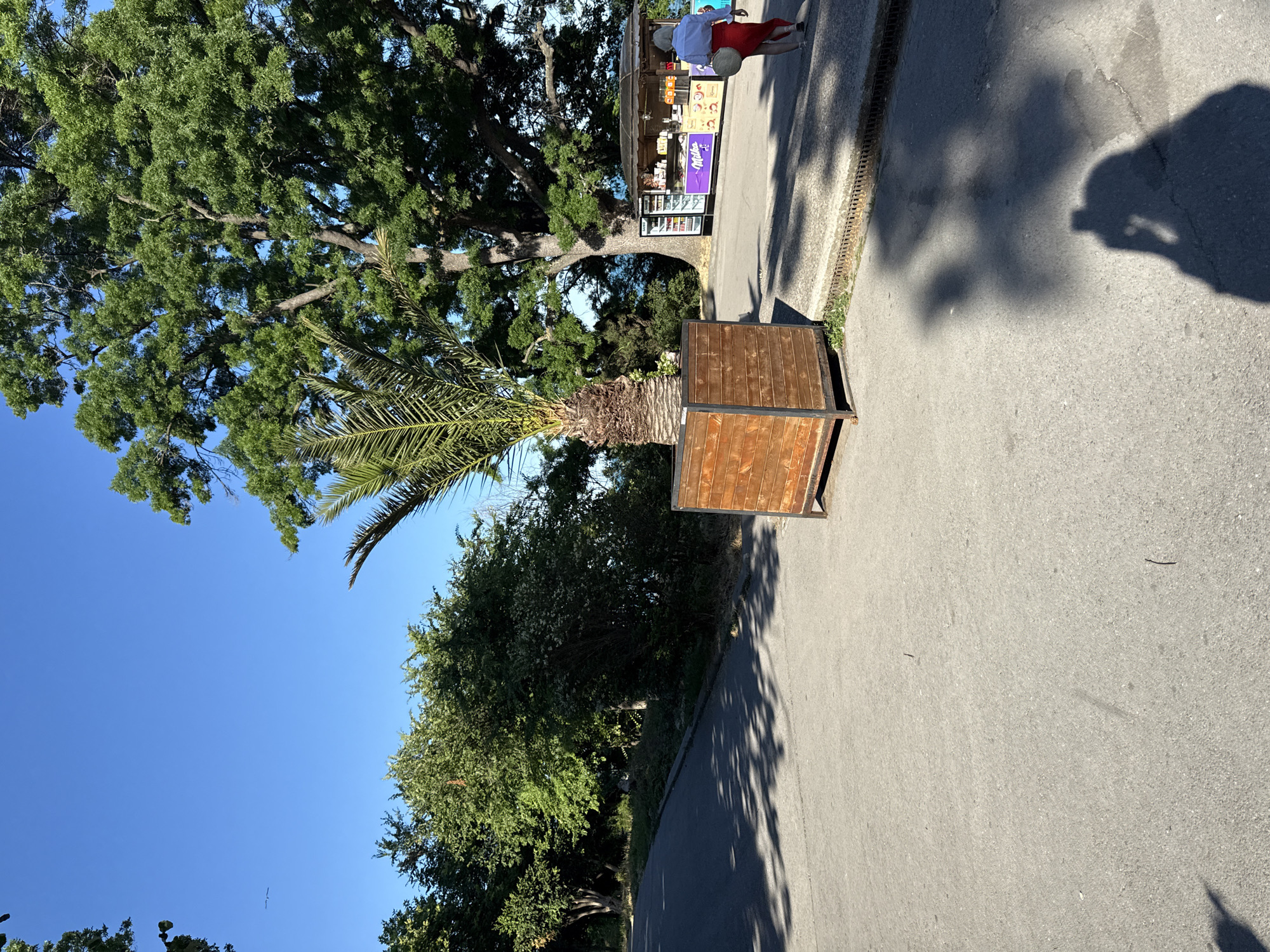 In the city of Unknown, Unknown, on a sunny day, a paved pathway curves upwards and to the left. A large wooden planter box containing a palm tree sits on the right side of the pathway. Behind the planter, a kiosk with colorful signage offering beverages and snacks is visible, with a person walking away from it, wearing a light blue shirt and a red skirt. The background features lush green trees and a clear blue sky. The ground is casting shadows from the trees and a person taking a photo.