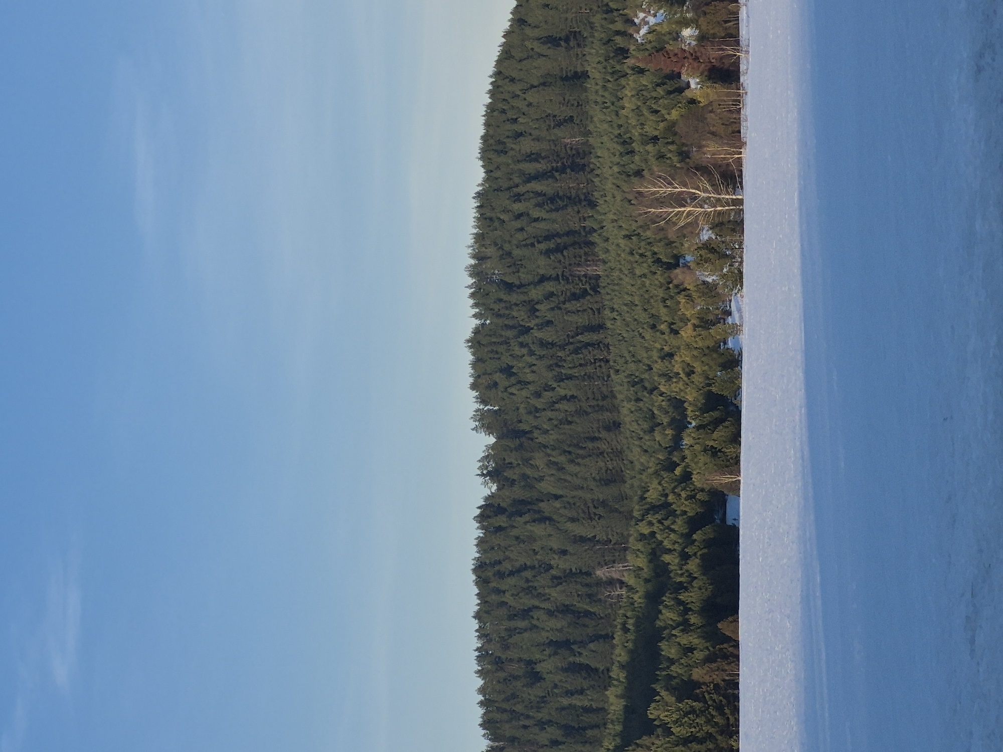 A landscape depicts a snow-covered plain on the right side of the frame, adjacent to a dense forest stretching along the middle. To the left is a clear, blue sky. The location is in the city of Makarovo, Russia.