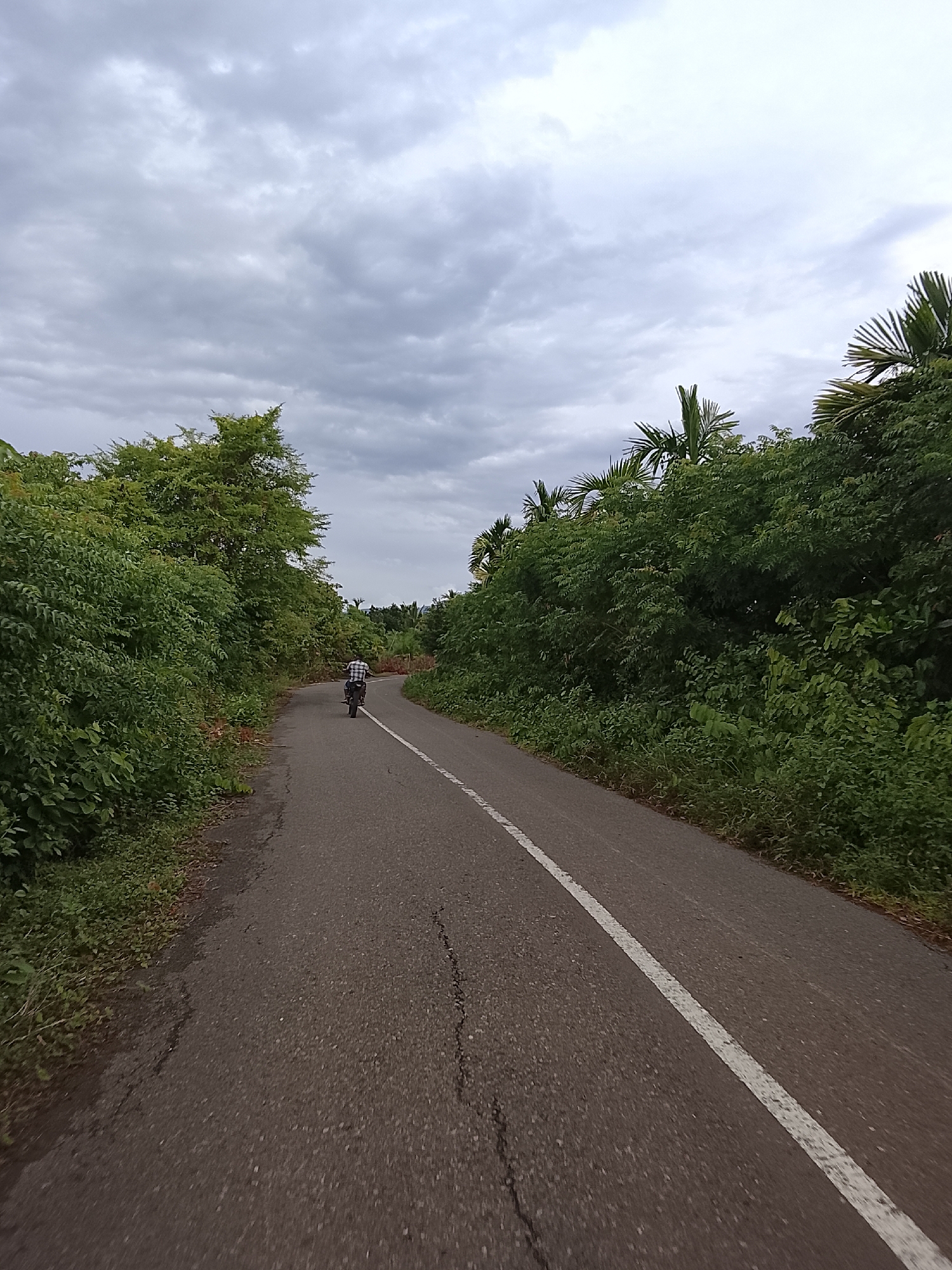 An overcast sky looms above a narrow, asphalt road winding through a lush green landscape. The road, marked by a faded white line, shows signs of wear and tear with cracks and patches. Dense foliage, including trees and bushes, lines both sides of the road, creating a tunnel-like effect. In the distance, a person is riding a motorcycle away from the camera. The scene appears to be a rural or semi-rural area. While the image itself does not provide specific geographical markers, the mention of Seunong, Indonesia, suggests this is a location within that region. The environment is dominated by nature, with human presence indicated by the road and the motorcycle.