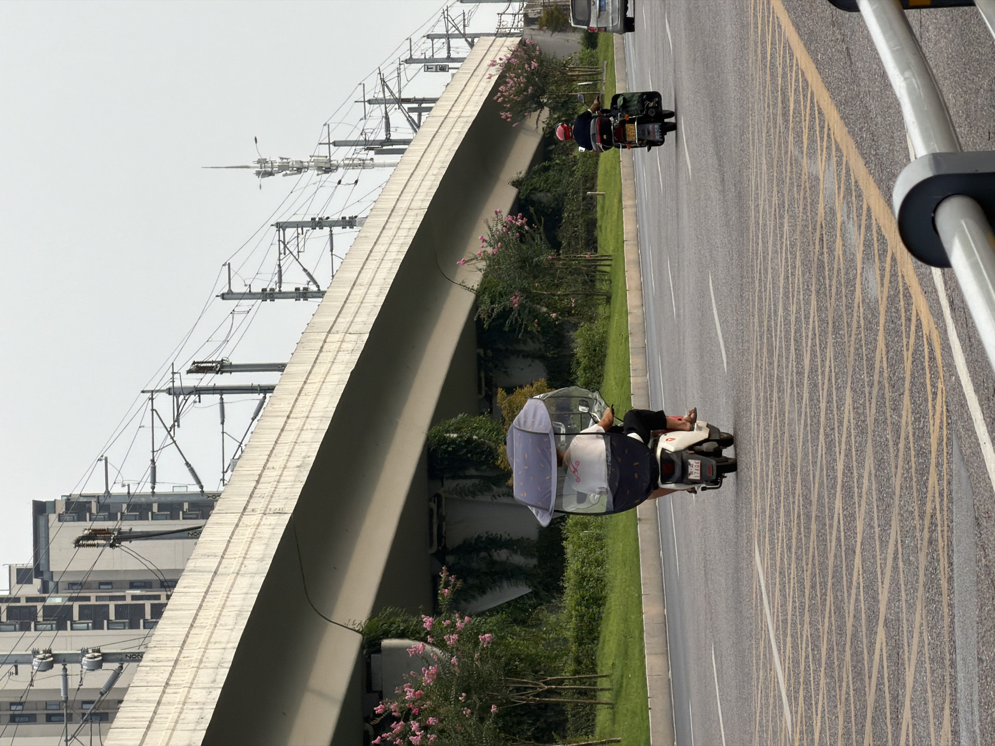 The image depicts a street scene in Jiangjin, China, under an overpass. Two individuals are riding on motorized scooters. The scooter in the foreground has a large, blue, patterned canopy attached, providing shade for the rider who is wearing a white shirt and dark pants. The scooter in the background is ridden by a person wearing a red helmet and a dark shirt, with luggage attached to the rear. Both scooters are traveling on a paved road with distinct yellow and white lane markings. The overpass, a concrete structure, looms overhead, supporting what appear to be railway lines and electrical infrastructure. Lush green vegetation, including trees with pink blossoms, grows beneath the overpass, suggesting an urban green space. The sky is overcast. A silver car is visible in the far right background.