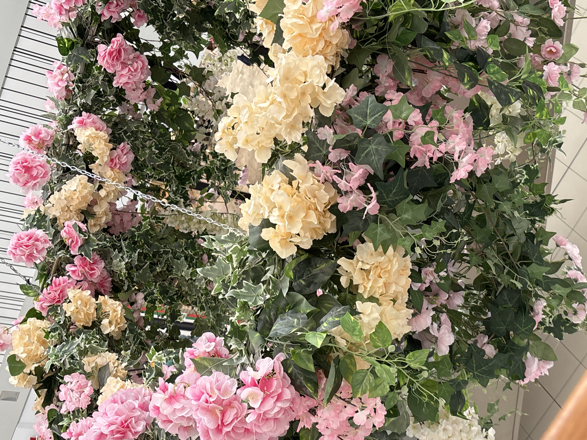 The image shows an indoor floral arrangement in Burgas, Bulgaria, featuring pink and yellow hydrangeas intermixed with ivy. A metal chain is partially visible, suggesting the arrangement is suspended. The background reveals a ceiling with linear patterns and a tiled wall.