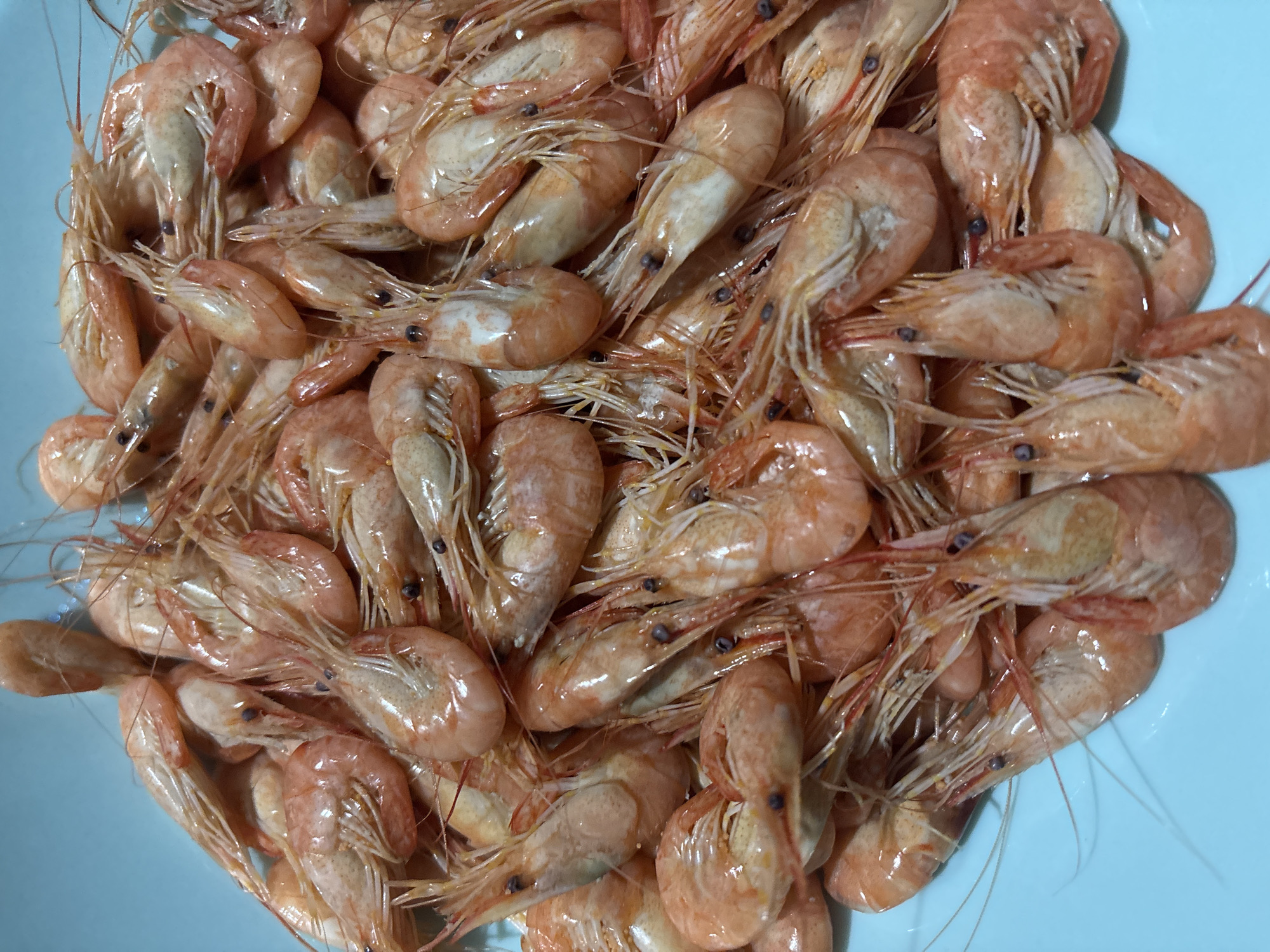 A pile of cooked shrimp fills a light blue bowl. The shrimp are pinkish-orange, with translucent bodies and visible dark eyes. They are arranged haphazardly, overlapping and intermingled. The location is Chornomorskoe, Ukraine.