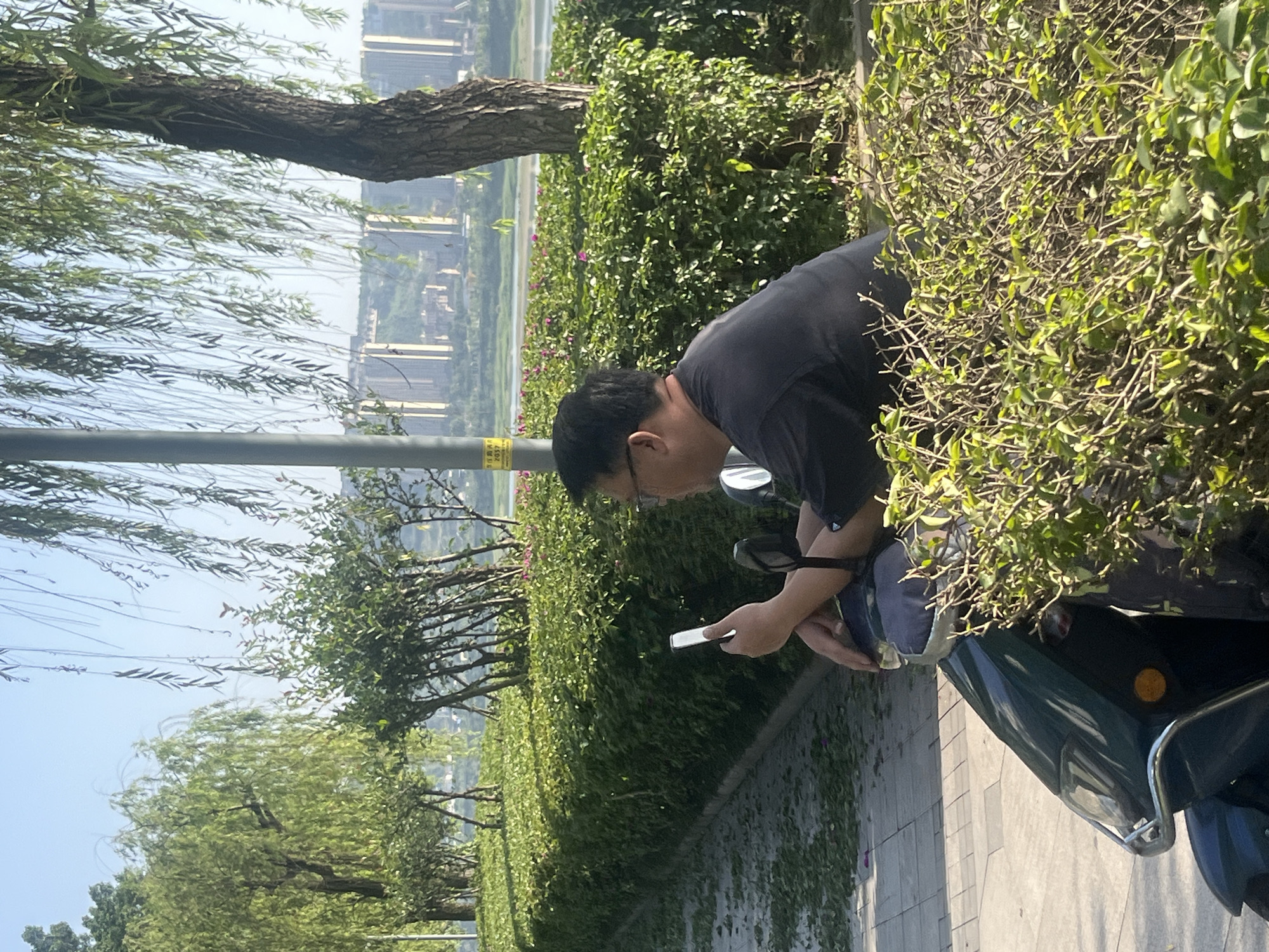 An outdoor scene in Jiangjin, China, captures a man engrossed in his smartphone while seated on a scooter. The image is oriented vertically (rotated clockwise from its original capture).
The primary subject is a man, appearing middle-aged, with short dark hair and glasses. He is wearing a dark, short-sleeved t-shirt and has a dark shoulder bag resting on his lap or handlebar. His head is bent forward, focused intently on a white smartphone held in his hands. He is positioned on a dark-colored scooter or electric bicycle, which is parked on a paved pathway.
The setting appears to be a riverside or lakeside promenade. Behind the man is a dense, well-maintained hedge of green bushes, beyond which a body of water is visible. Across the water, in the distance, are numerous high-rise buildings, suggesting an urban or suburban landscape. To the left of the man, a prominent tree trunk and its long, drooping branches, characteristic of a weeping willow, frame the upper part of the scene. Other trees and lush greenery line the pathway.
The time of day is bright and sunny, indicated by the clear sky and visible shadows. The man's activity is simply looking at his phone, suggesting he might be checking messages, browsing, or waiting. A grey metal pole, possibly a lamppost or utility pole, stands near the man. On this pole, a yellow sticker or sign is affixed, with visible Chinese text that reads "自律生活" (Zìlǜ shēnghuó - self-discipline life) and the numbers "2037" below it. The ground is a paved surface, and some fallen leaves or debris are scattered around.