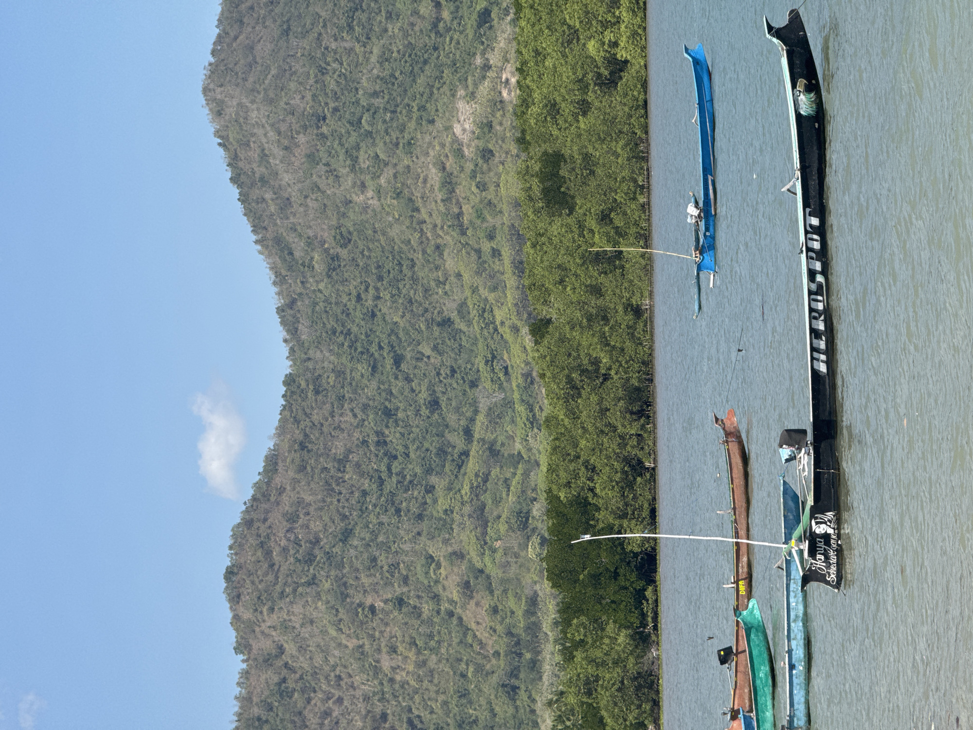 This image depicts a body of water with several boats at anchor. In the foreground, a long, black boat with white lettering that reads "HEROSPOT" and an eagle graphic is visible. To its left, a light blue boat and a teal boat are partially submerged. Behind these, a reddish-brown boat with "DFA" written on its side is also present. In the middle ground, a bright blue boat is occupied by a person. In the background, a dense line of green trees forms a border between the water and a large, tree-covered mountain range. The sky is a clear blue with a small, wispy cloud. The scene appears to be a coastal area in Kertasari, Indonesia, likely a harbor or bay given the presence of multiple vessels and the natural landscape. There are no visible interactions between people, and the actions of those in the boats are not discernable beyond their presence. The environment is characterized by calm water, lush vegetation, and a prominent mountainous backdrop.