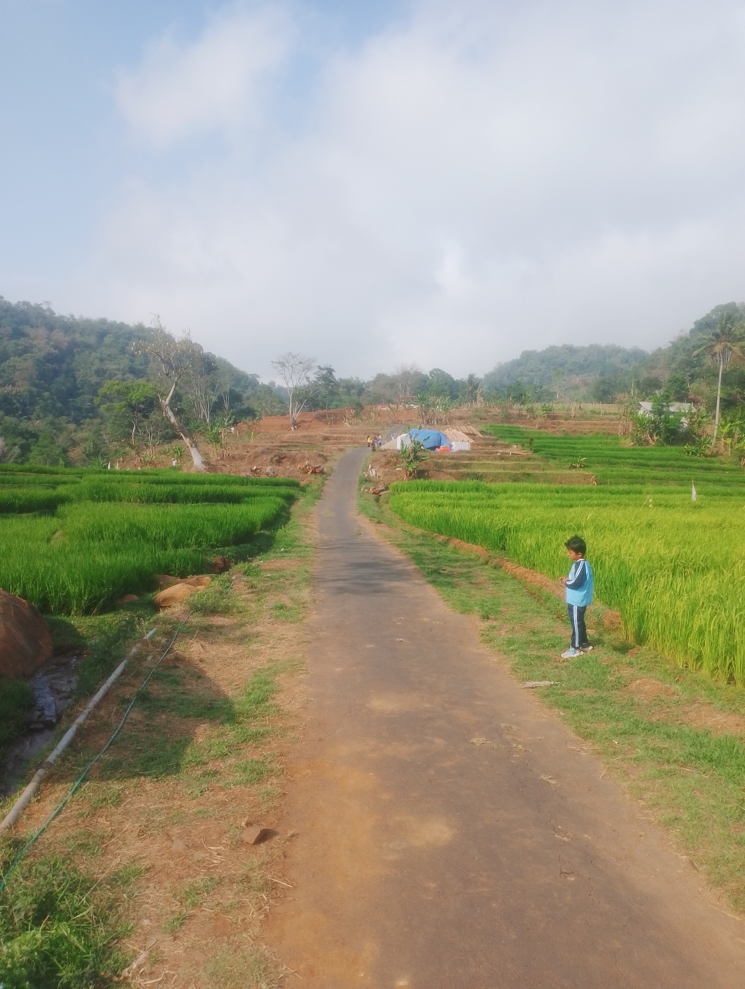 The image depicts a rural scene in Sukadana, Indonesia, with terraced rice paddies flanking a paved road. A young boy wearing a blue shirt and black pants stands on the grassy shoulder of the road, facing away from the camera and looking towards the rice fields. The landscape is characterized by lush green vegetation, rolling hills covered in trees in the background, and a bright, cloudy sky. Several structures, possibly small houses or sheds covered with tarpaulins, are visible in the distance amidst the terraced fields, suggesting agricultural activity or temporary shelters. The road appears to be the primary thoroughfare through this cultivated area.