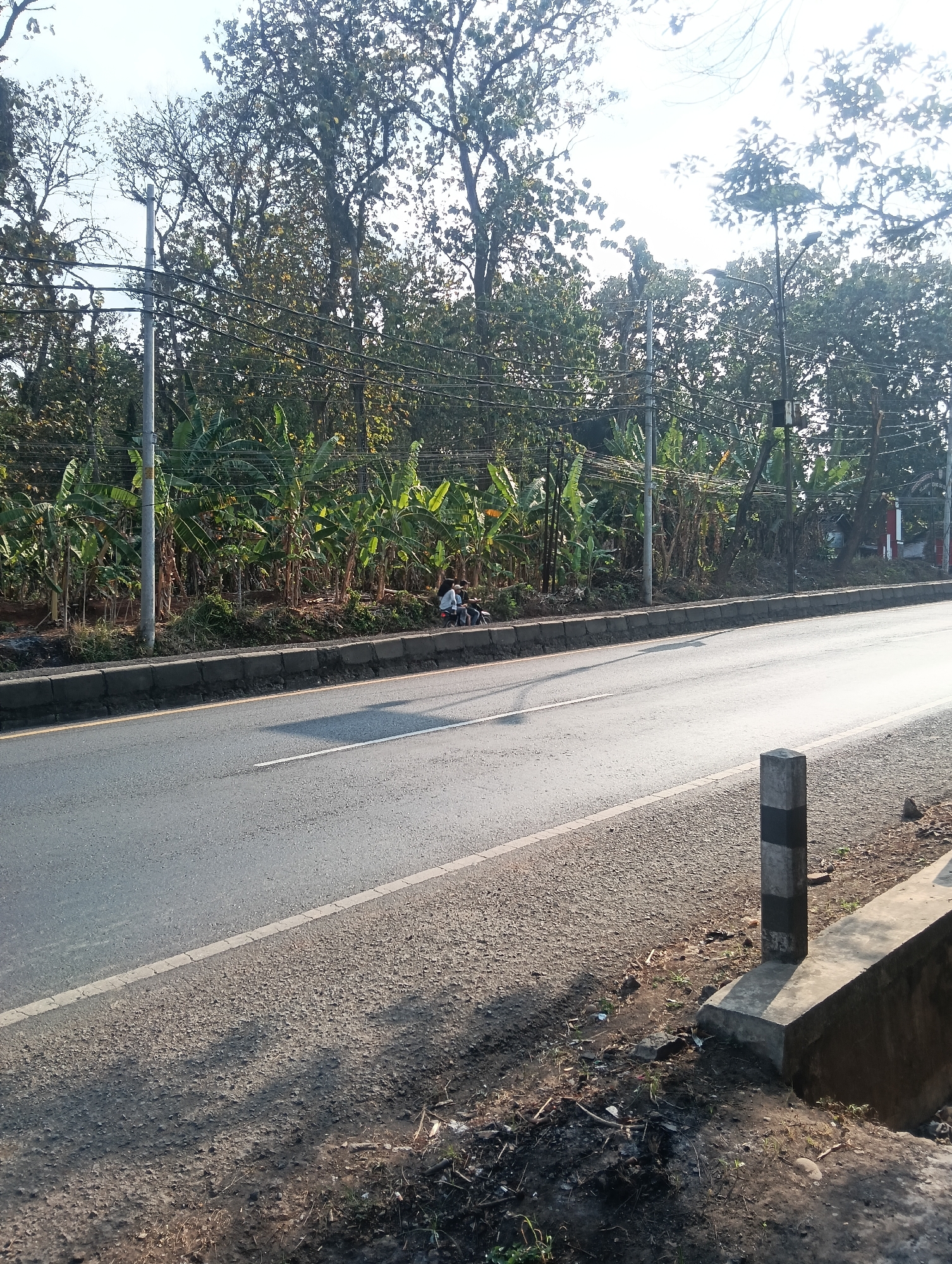 The image shows a roadside scene in Adinuso, Indonesia, bathed in the warm light of the sun, casting long shadows across the asphalt road. A concrete barrier, marked with vertical black and white stripes, stands prominently in the foreground on the right side of the frame. Beyond the road, a dense line of banana trees creates a verdant backdrop. In the middle ground, two individuals are seated on a motorcycle, paused on the side of the road, next to a tall utility pole supporting a web of electrical wires. The overall impression is one of a quiet, rural roadside in the late afternoon.