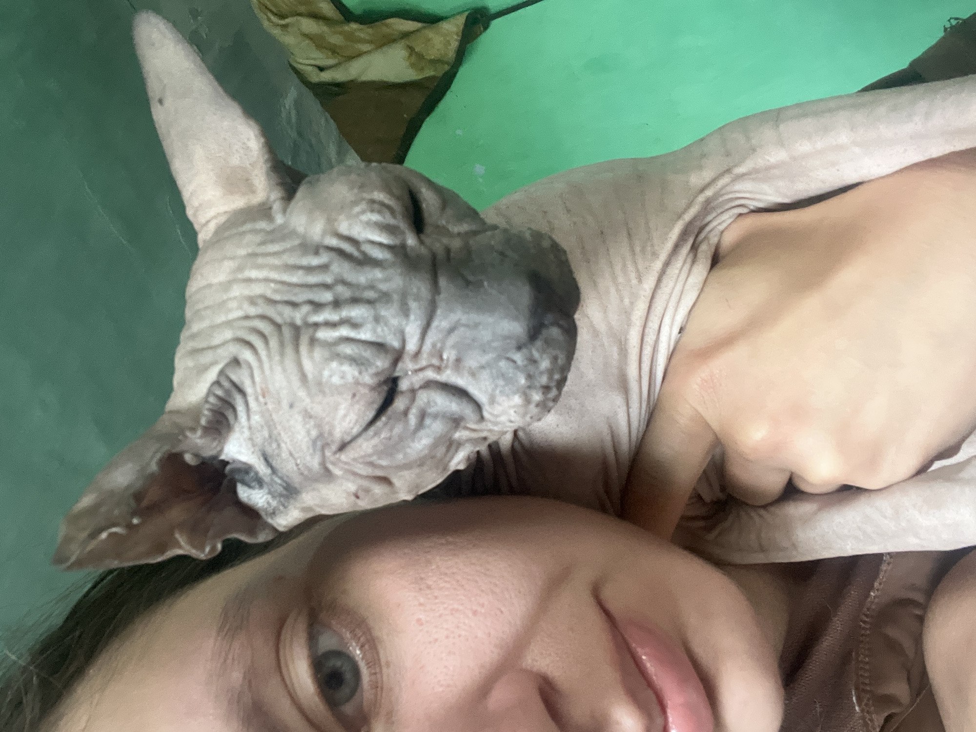 A close-up shot shows a person's face and shoulder, with a Sphynx cat perched on their shoulder. The person, whose face is partially visible on the left side of the frame, has light skin, dark hair, and light-colored eyes. They are looking towards the camera, and their lips are slightly parted. The Sphynx cat's wrinkled skin and large ears are prominent. The cat's eyes are closed, and its head is resting on the person's shoulder. The background is a solid green wall. The lighting is dim, casting shadows on the subjects. The image is cropped tightly, focusing on the interaction between the person and the cat.