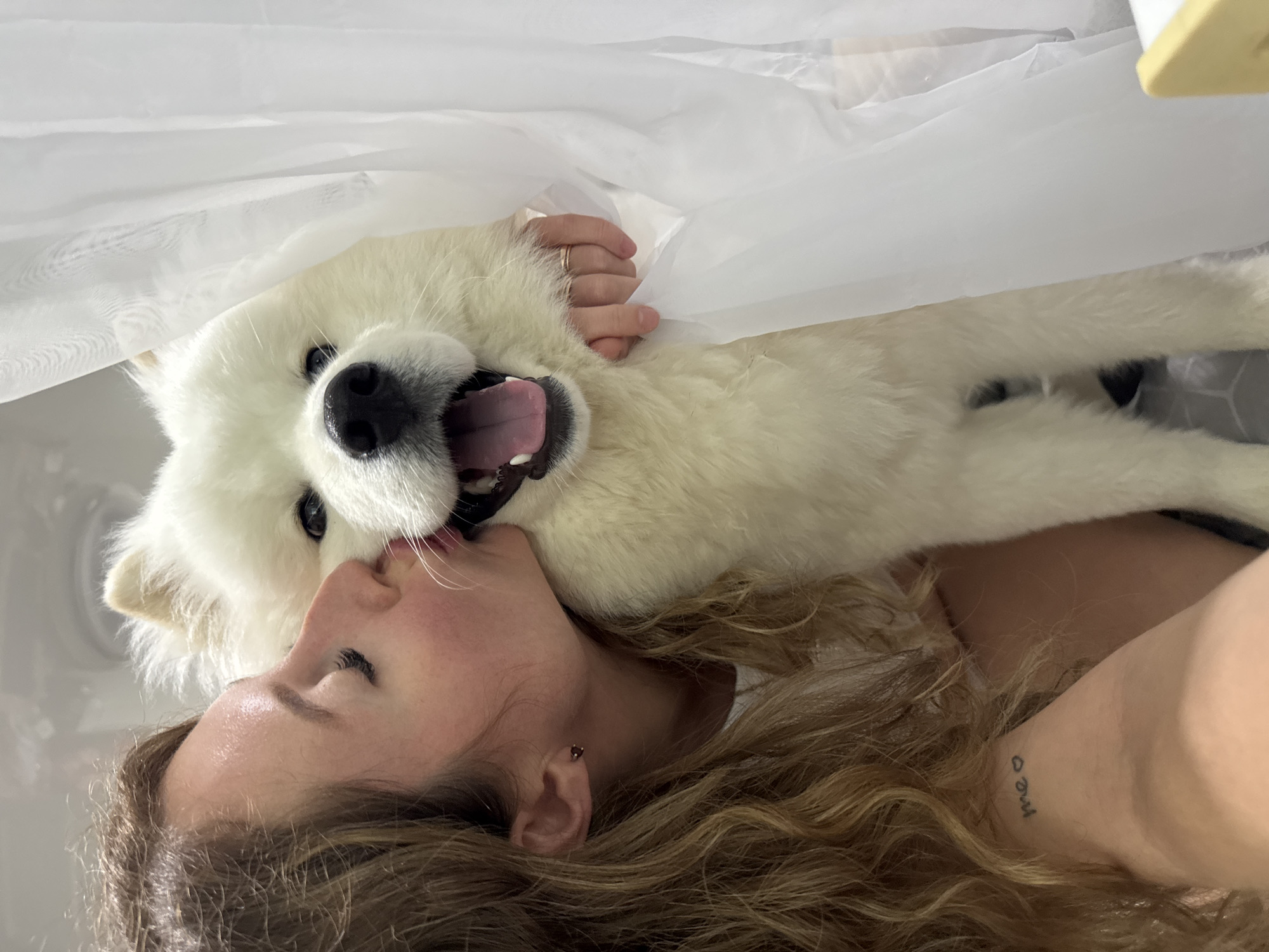 In a domestic indoor setting, a woman with curly brown hair is kissing a fluffy white dog on the cheek. The woman is wearing a white t-shirt, and a small heart-shaped earring is visible in her left ear. She has a tattoo on her left forearm that reads "me" with a heart symbol. The dog, appearing to be a Samoyed breed, is looking directly at the camera with its mouth open and tongue out. A sheer white curtain is draped behind the dog, partially obscuring it. The scene appears to be captured in a brightly lit room, possibly a bathroom or bedroom, with a hint of a light-colored ceiling fixture visible. The background is softly blurred, suggesting a shallow depth of field. There is no information in the image to suggest a location in the city of Chaikovsky, Russia.
