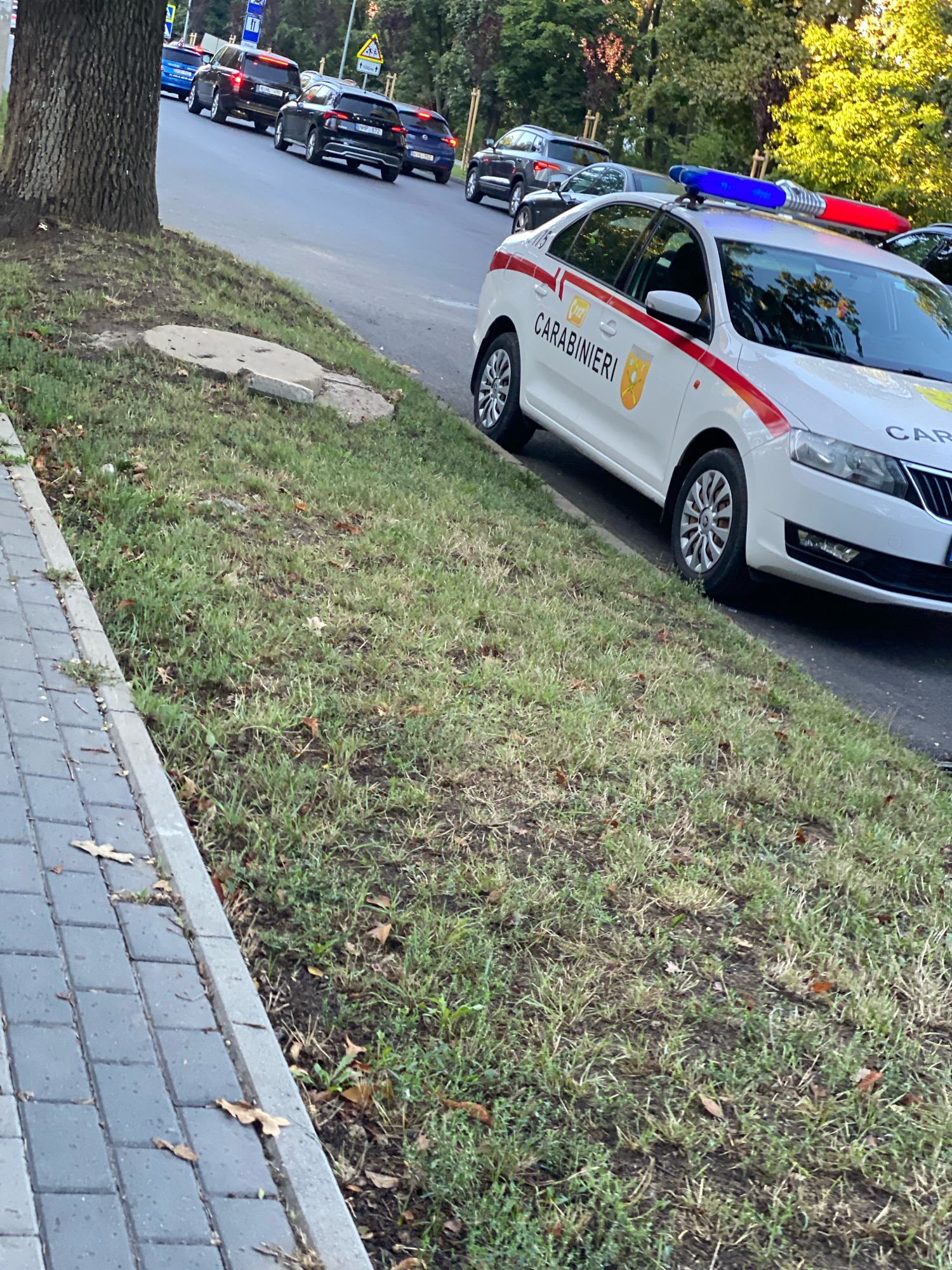 A white official car with "CARABINIERI" written on its side, illuminated by a blue and red siren light, is parked on the side of a street. Several other cars are visible on the road behind it, suggesting traffic. The car is situated on the right side of the image, partially on a grassy area and partially on the asphalt. The surrounding environment appears to be a street in a city, with trees and greenery lining the road. The foreground shows a paved sidewalk made of gray square blocks. The scene suggests a routine presence of law enforcement or a minor incident. The location is identified as Chișinău, Moldova.