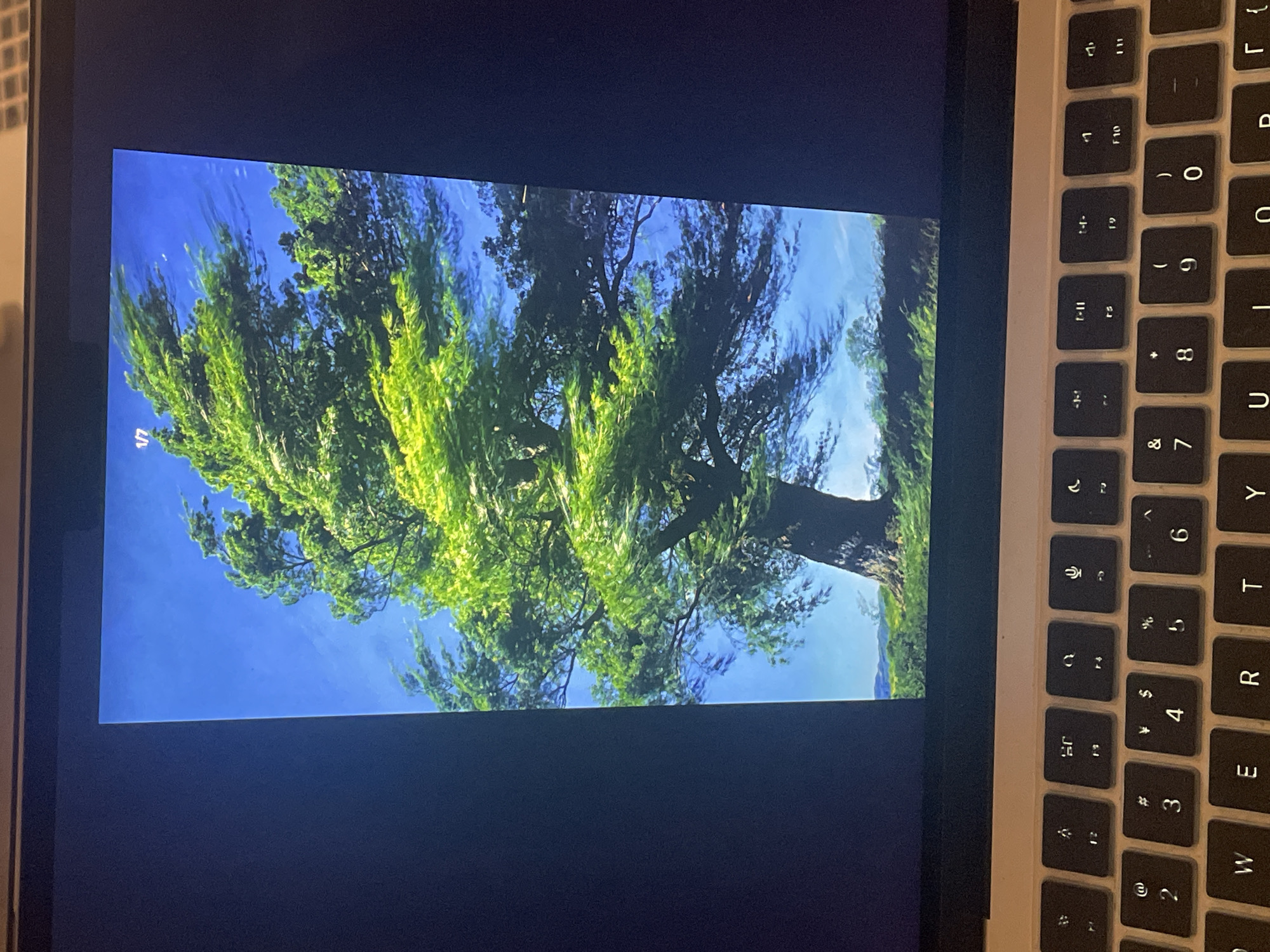 The image shows a close-up view of a laptop screen displaying a photograph of a large tree with vibrant green leaves, its branches swaying in the wind against a clear blue sky. The tree has a thick, dark trunk and its foliage is illuminated by bright sunlight, highlighting the movement of the leaves. In the background, a landscape with rolling hills and other trees can be seen. The photograph appears to be a single image from a series, as indicated by the "1/7" overlay in the top right corner. The bottom portion of the image shows a keyboard with a QWERTY layout, suggesting the laptop is in use. There is no visible information within the image that can be used to determine the location in Qiaomei, Qiaohai, China.