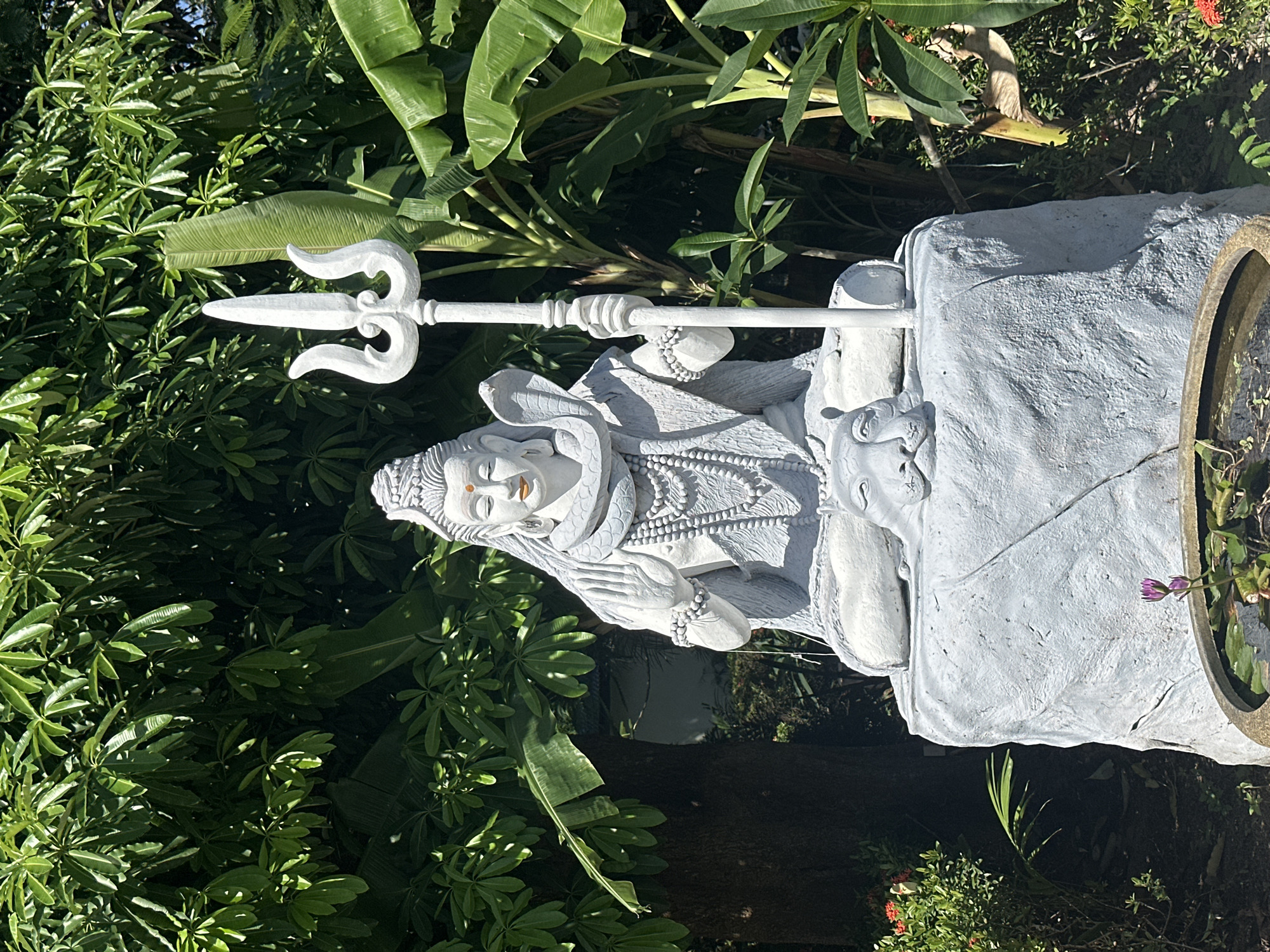 A grey stone statue of the Hindu deity Shiva sits on a grey stone pedestal in an outdoor setting. Shiva is depicted in a meditative pose with his legs crossed, holding a trident in his right hand and with his left hand raised in a gesture of blessing. He wears a snake as a necklace and a serpent is coiled around his head. A tiger's head is positioned on the pedestal in front of Shiva. The statue is surrounded by lush green foliage, including banana trees and other leafy plants, with some red flowers visible to the left. A body of water with lily pads and a small purple flower is in the foreground. The image appears to have been taken in a garden or temple complex.