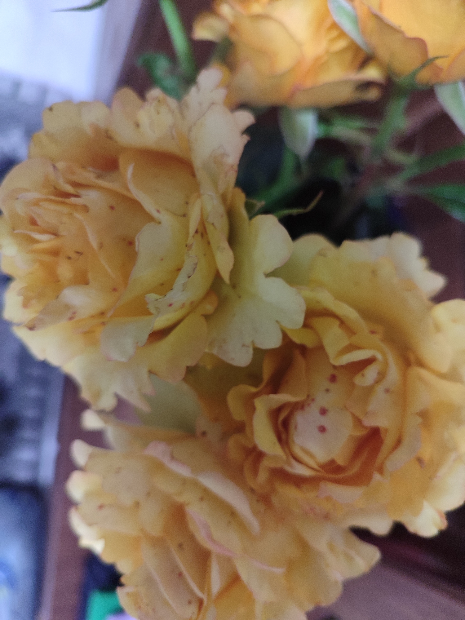 The image shows a close-up of several yellow roses with some red spots on their petals. The roses appear to be in a vase, with green stems and leaves visible. The background is blurred, but suggests an indoor setting with some furniture and possibly a window. There are no people or animals in the image. The scene is static and does not depict any action. The lighting appears to be natural or soft artificial light. The specific location in Mykolaiv, Ukraine cannot be determined from the image alone.