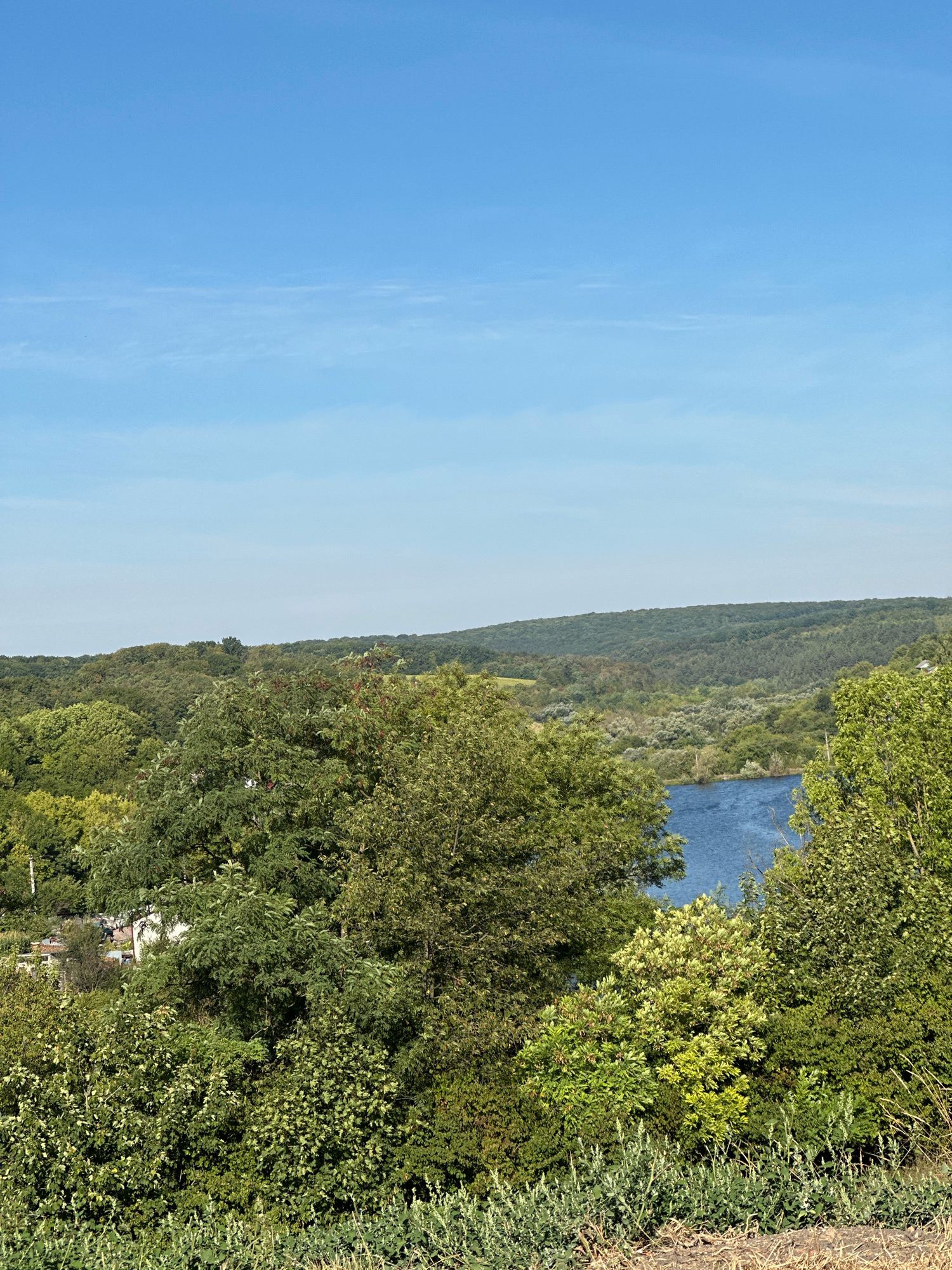 The image depicts a serene landscape featuring rolling hills covered in lush green trees, a winding river reflecting the clear blue sky, and a small cluster of buildings on the left side of the frame. The foreground is dominated by dense foliage and dry grass, suggesting a natural environment. In the distance, the undulating terrain creates a sense of depth and tranquility. The architecture visible in the background appears to be modest, hinting at a rural or semi-rural setting. The sky is a vibrant, cloudless blue, contributing to the overall peaceful atmosphere. The scene is likely captured on a bright, sunny day, with the sunlight illuminating the landscape. The image is a wide shot, capturing a panoramic view of the natural surroundings and a glimpse of human settlement. The presence of the river and the abundant vegetation suggests a fertile area. The overall impression is one of natural beauty and quietude.