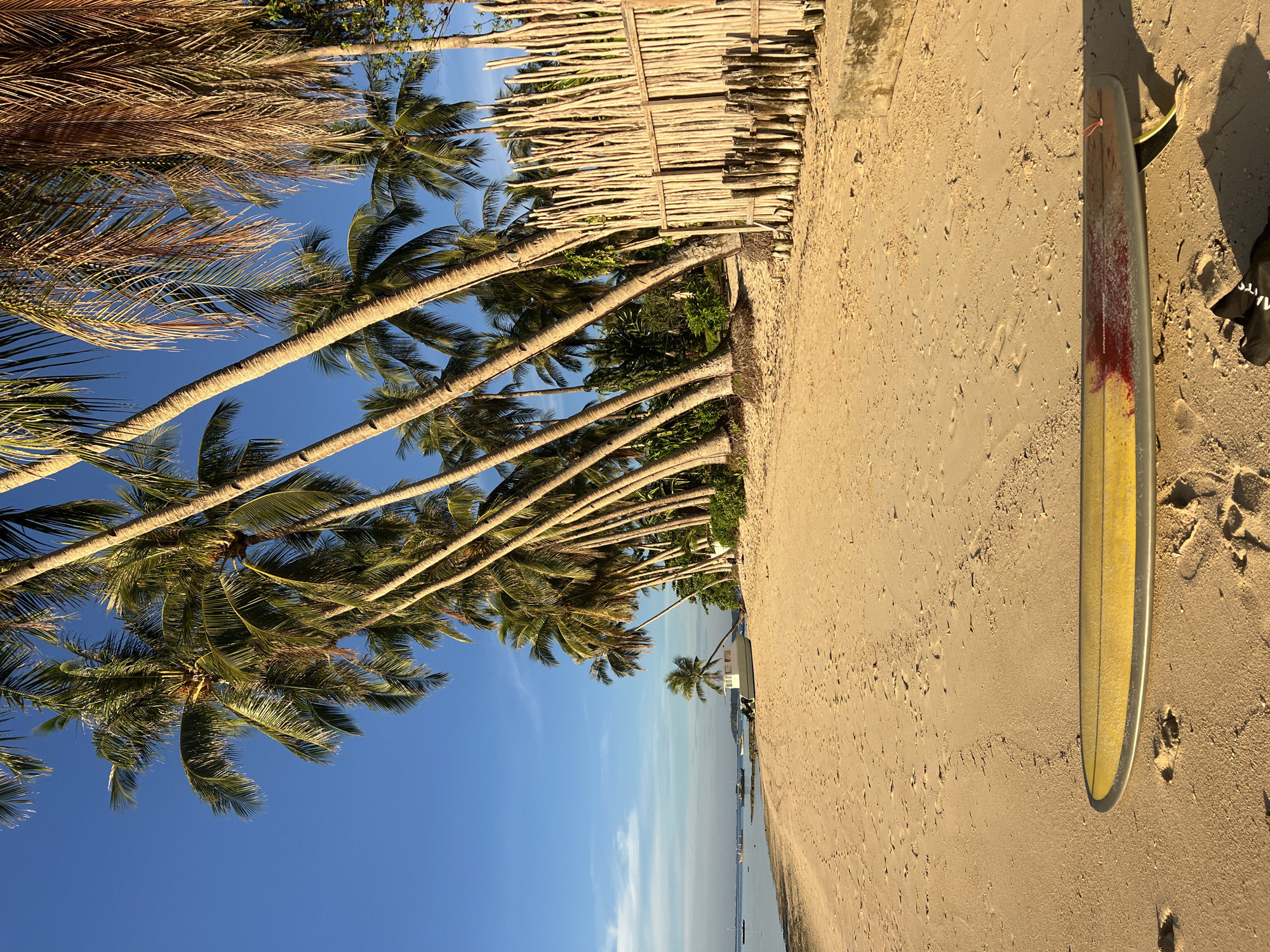 A long yellow surfboard rests on a sandy beach in General Luna, Philippines, with its nose pointing towards the left. Behind the surfboard, a line of tall palm trees stretches along the coastline under a clear blue sky. A rustic wooden fence made of vertical poles stands to the right of the palm trees. In the distance, calm water is visible with several small boats anchored offshore and a white boat beached on the sand. The sand is marked with footprints and the late afternoon sun casts long shadows.