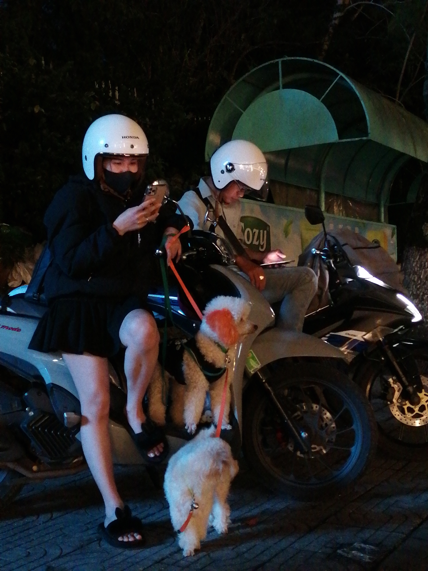 Memory