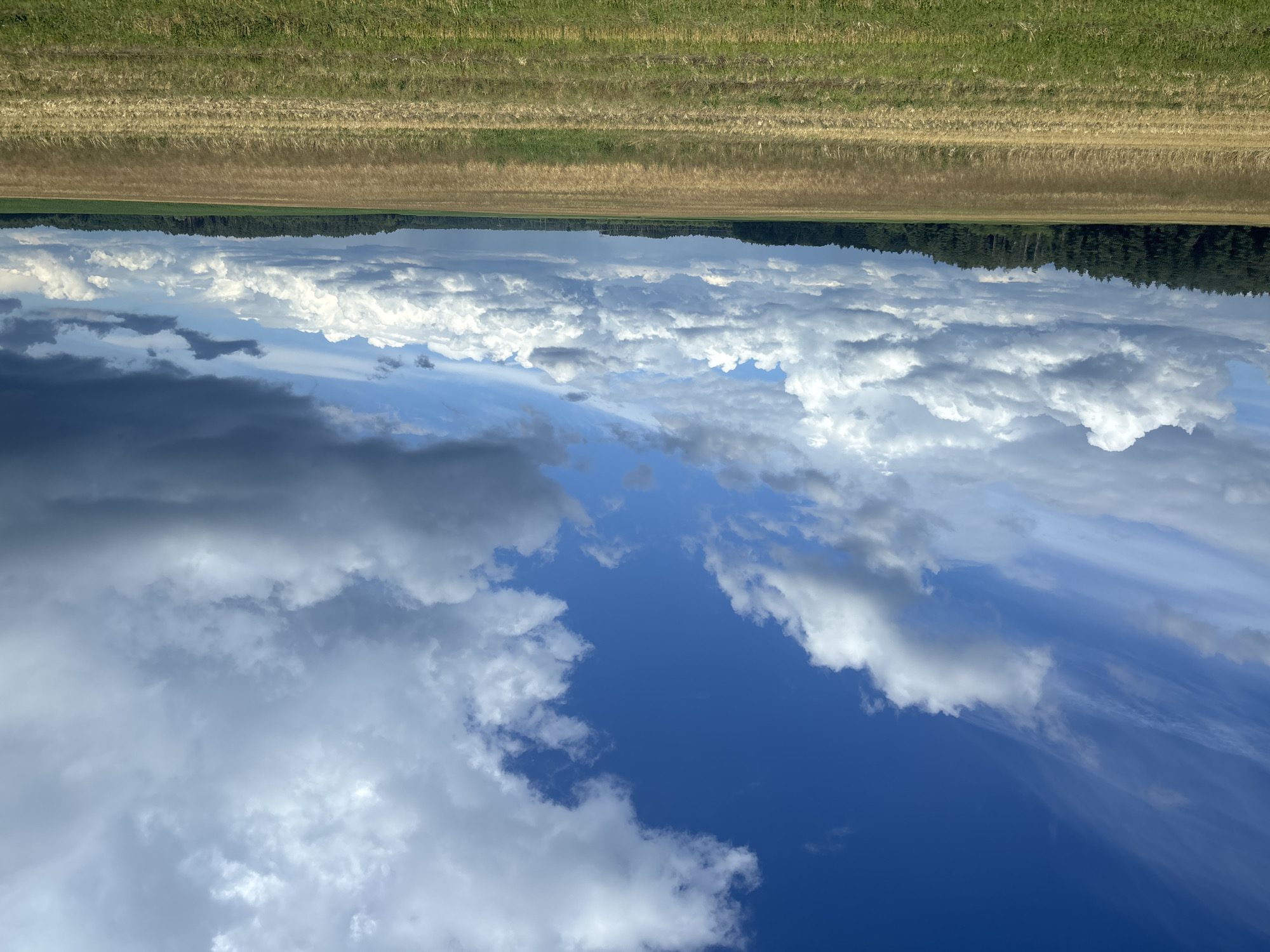 The image depicts a wide, agricultural landscape under a dynamic sky. In the foreground, a field of dry, golden stubble extends across the frame, transitioning to greener grass at the very bottom. Behind this, a larger field of harvested crops, appearing as straw or dried grain, stretches towards a dense line of dark green trees that forms a horizon. The trees are a mix of coniferous and deciduous, creating a textured woodland edge. Above the treeline, the sky is a prominent feature, with a vast expanse of deep blue punctuated by dramatic, billowing white and grey clouds. Some clouds are bright and sunlit, while others are darker and more ominous, suggesting changing weather conditions. The overall impression is one of rural expansiveness and the raw beauty of nature. The scene is located in the Грозаўскі сельскі Савет, Belarus.
